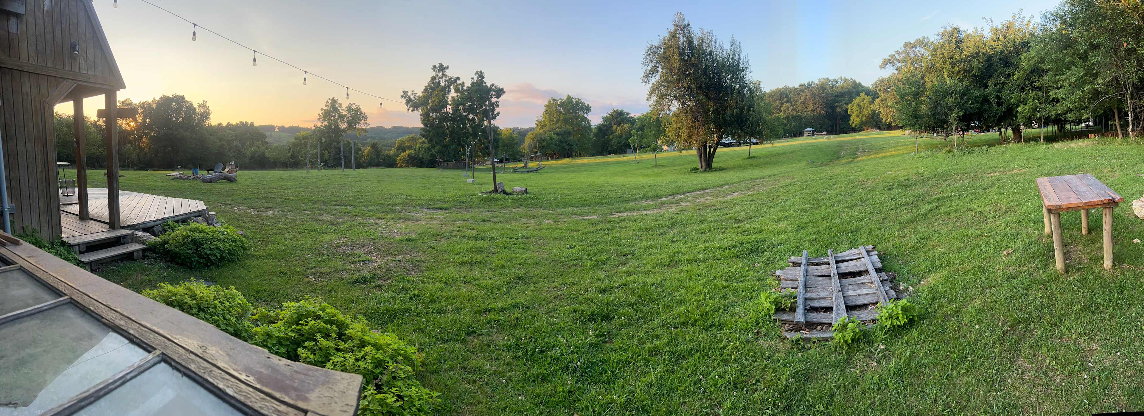 Bliss