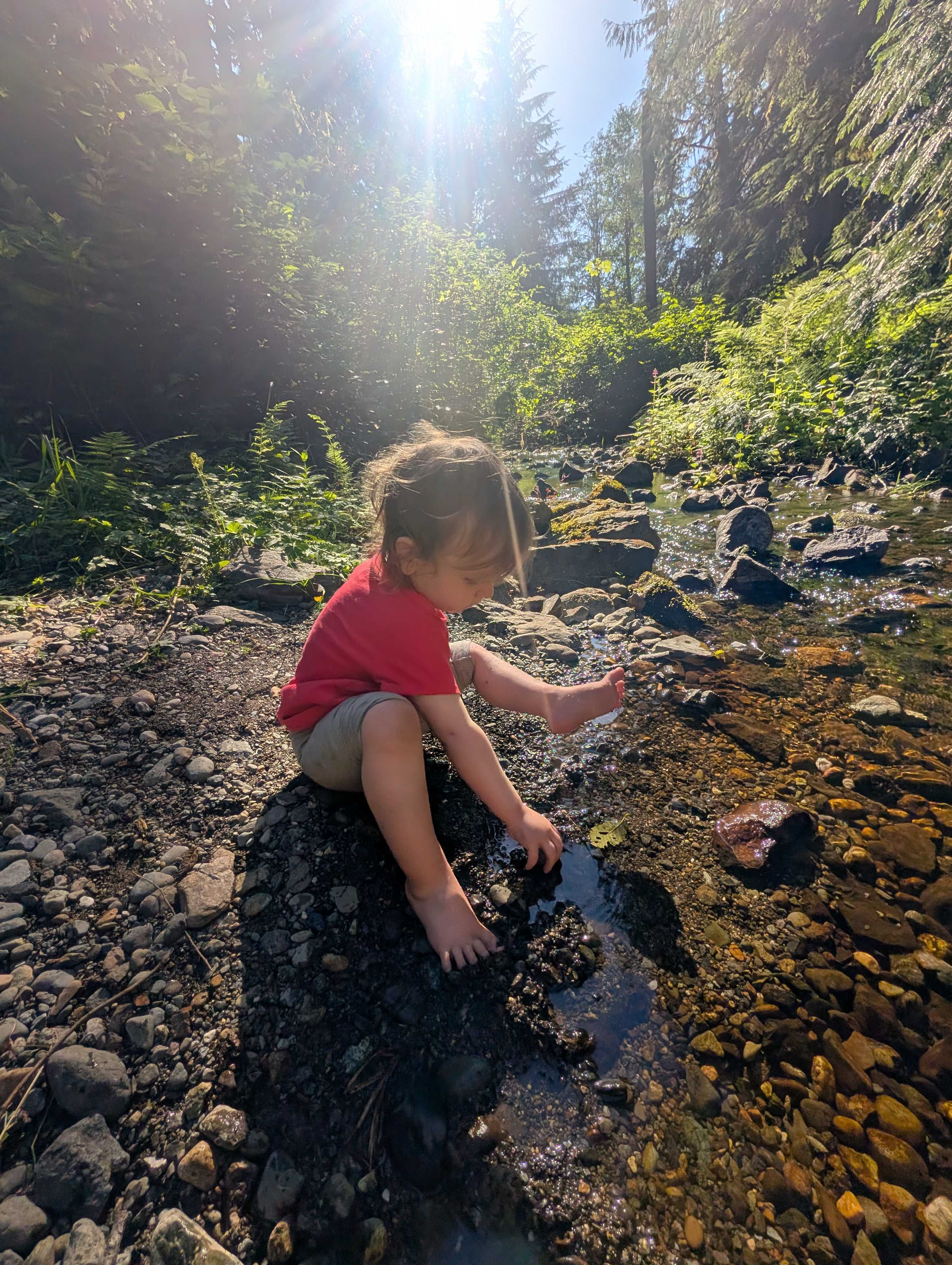 Kids loved the creek