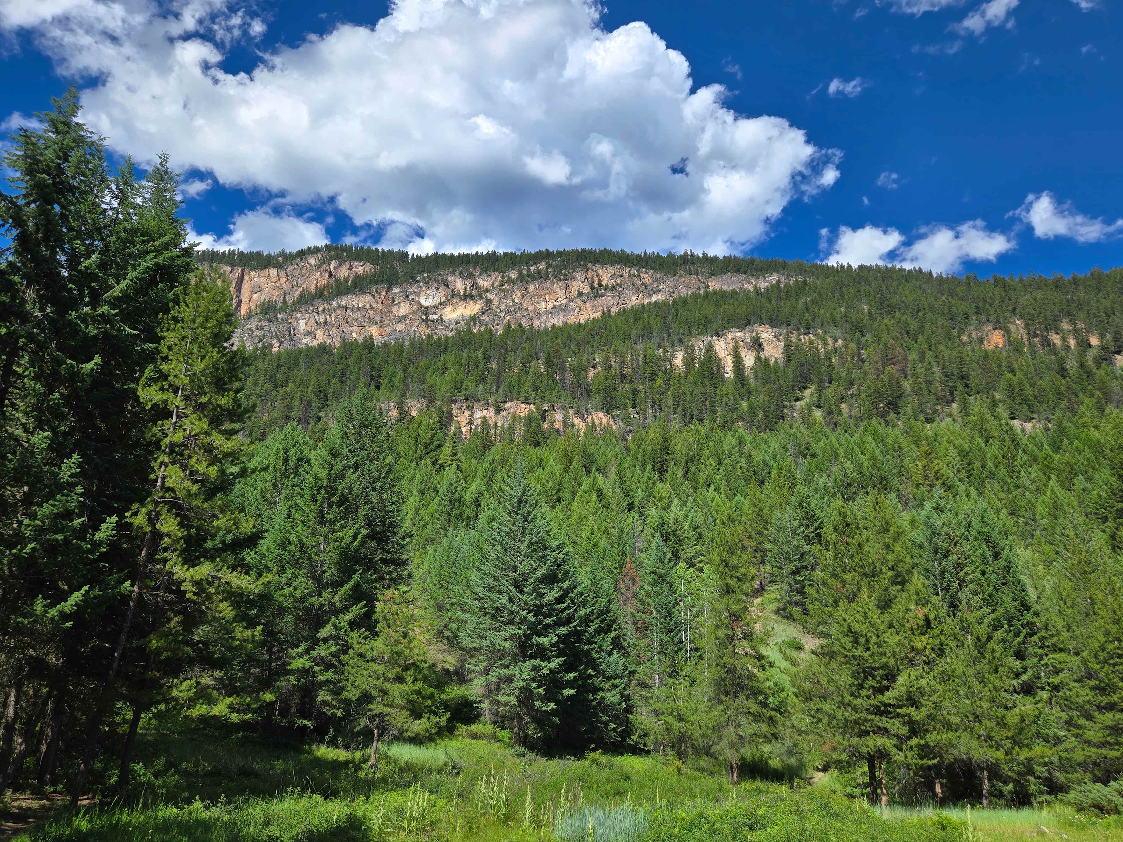 Flyway Farm & Forest