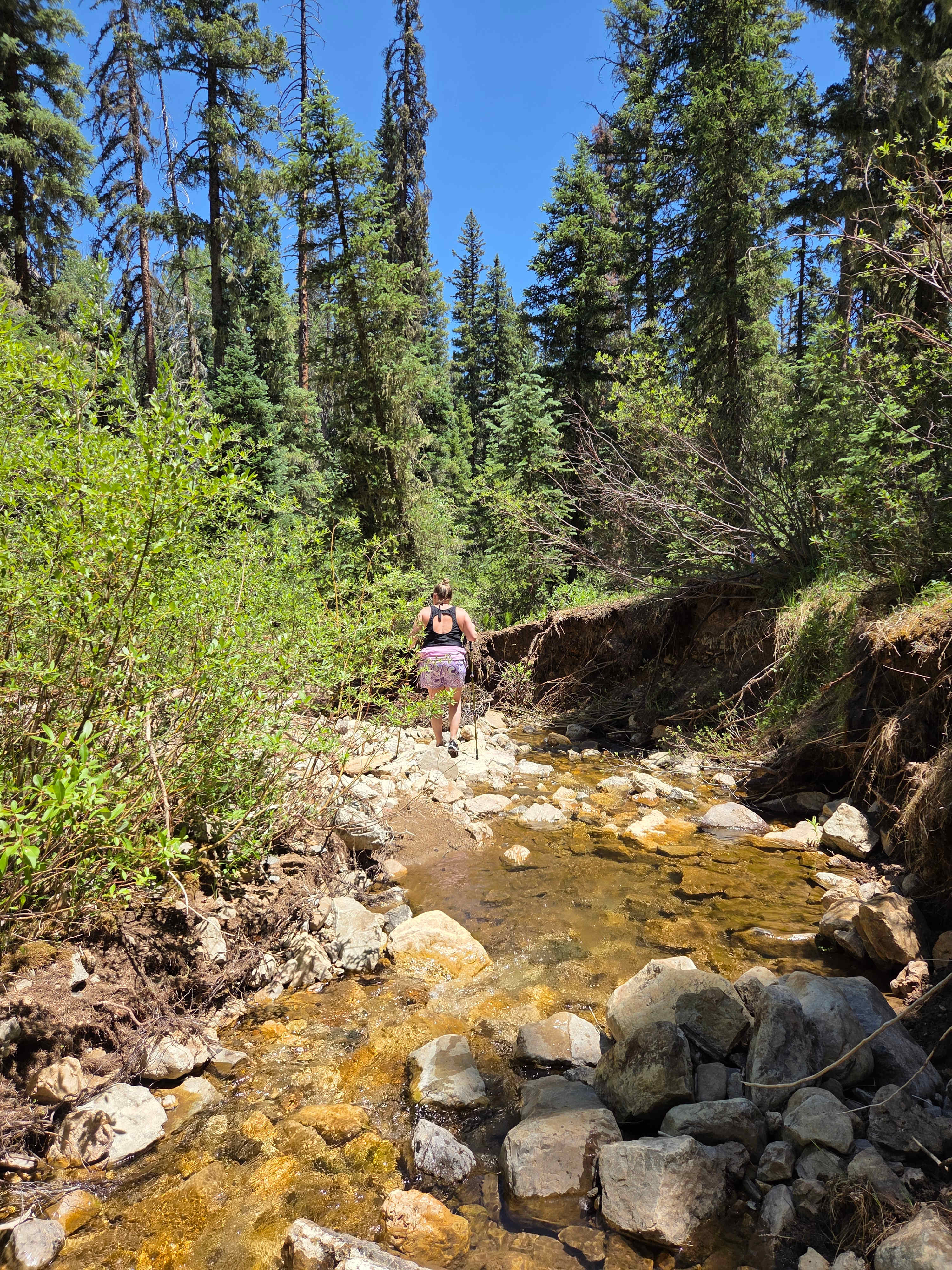 creek directly behind site 1