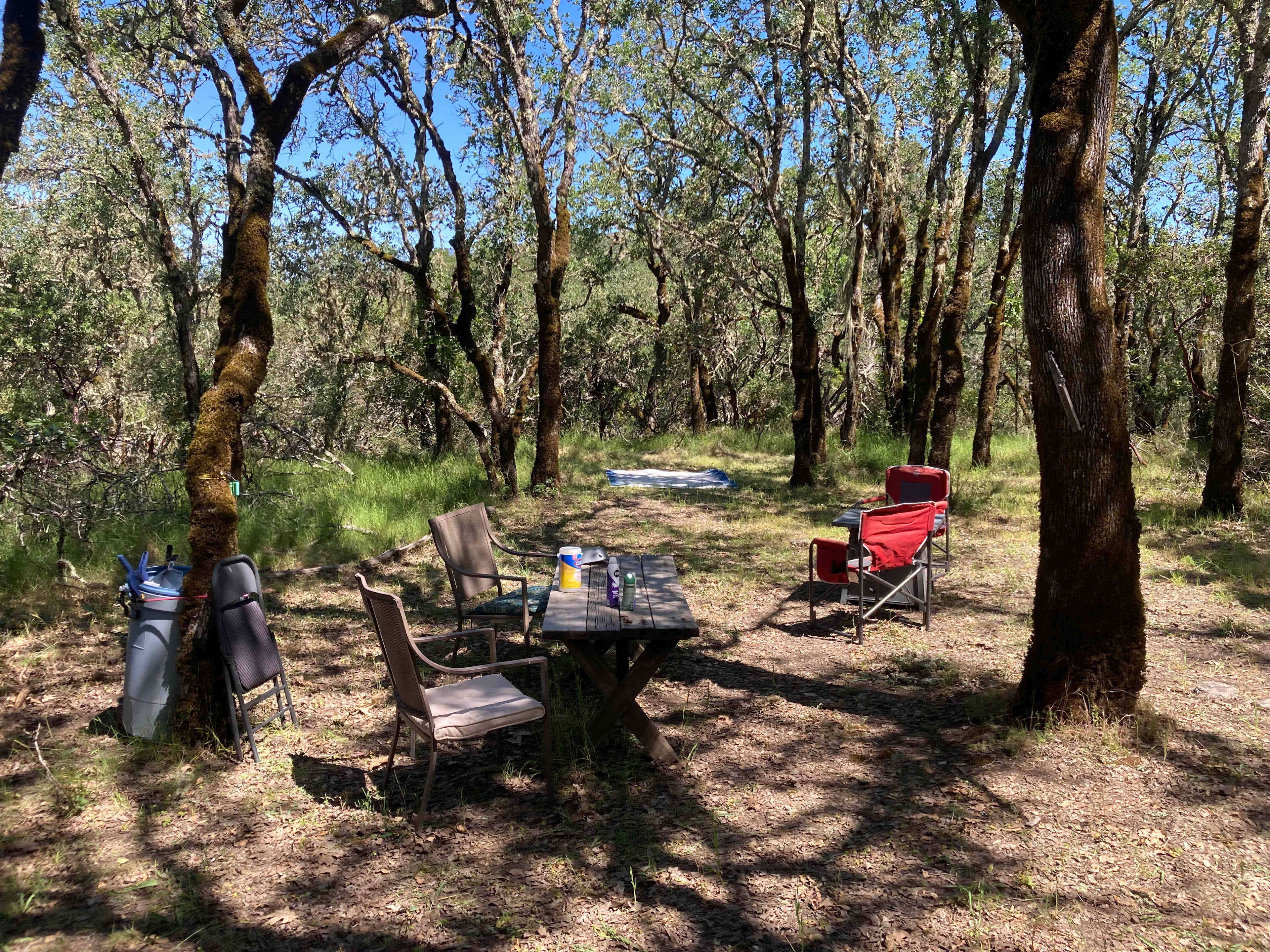 Dylan's Ranch at the Whaleback