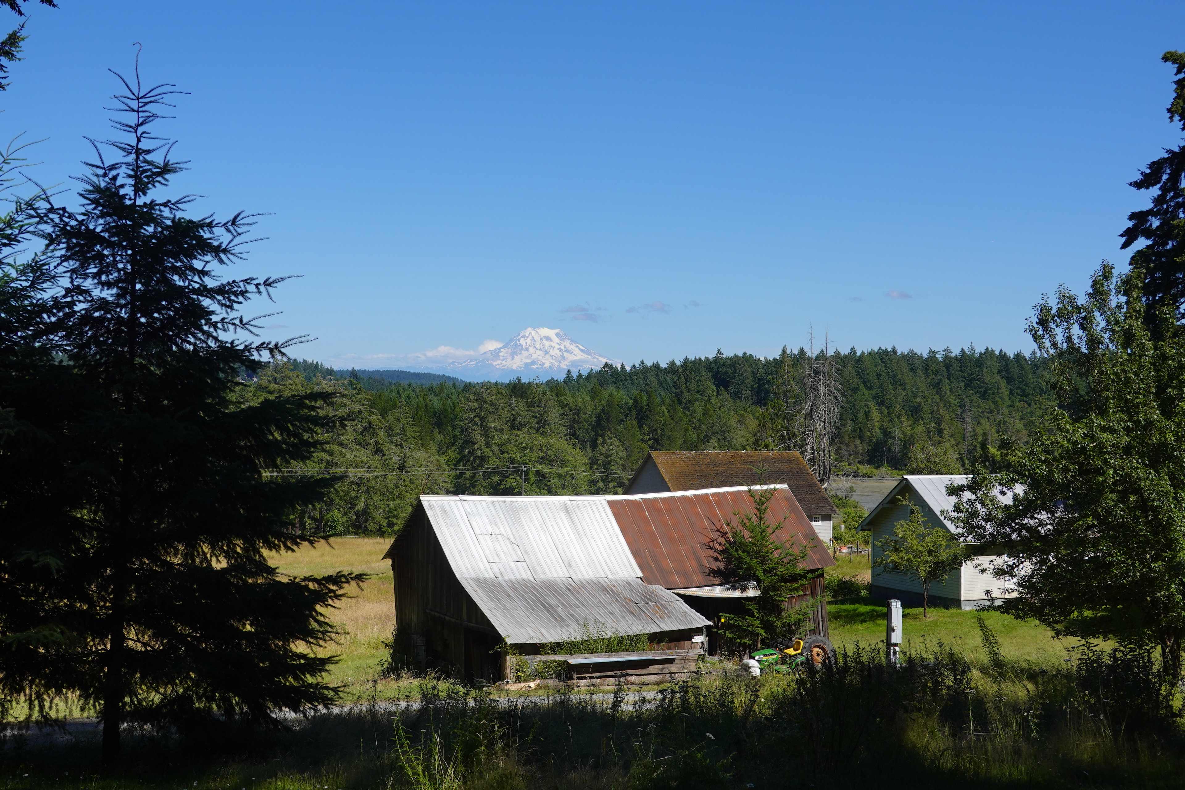 Madrona Meadow Camp