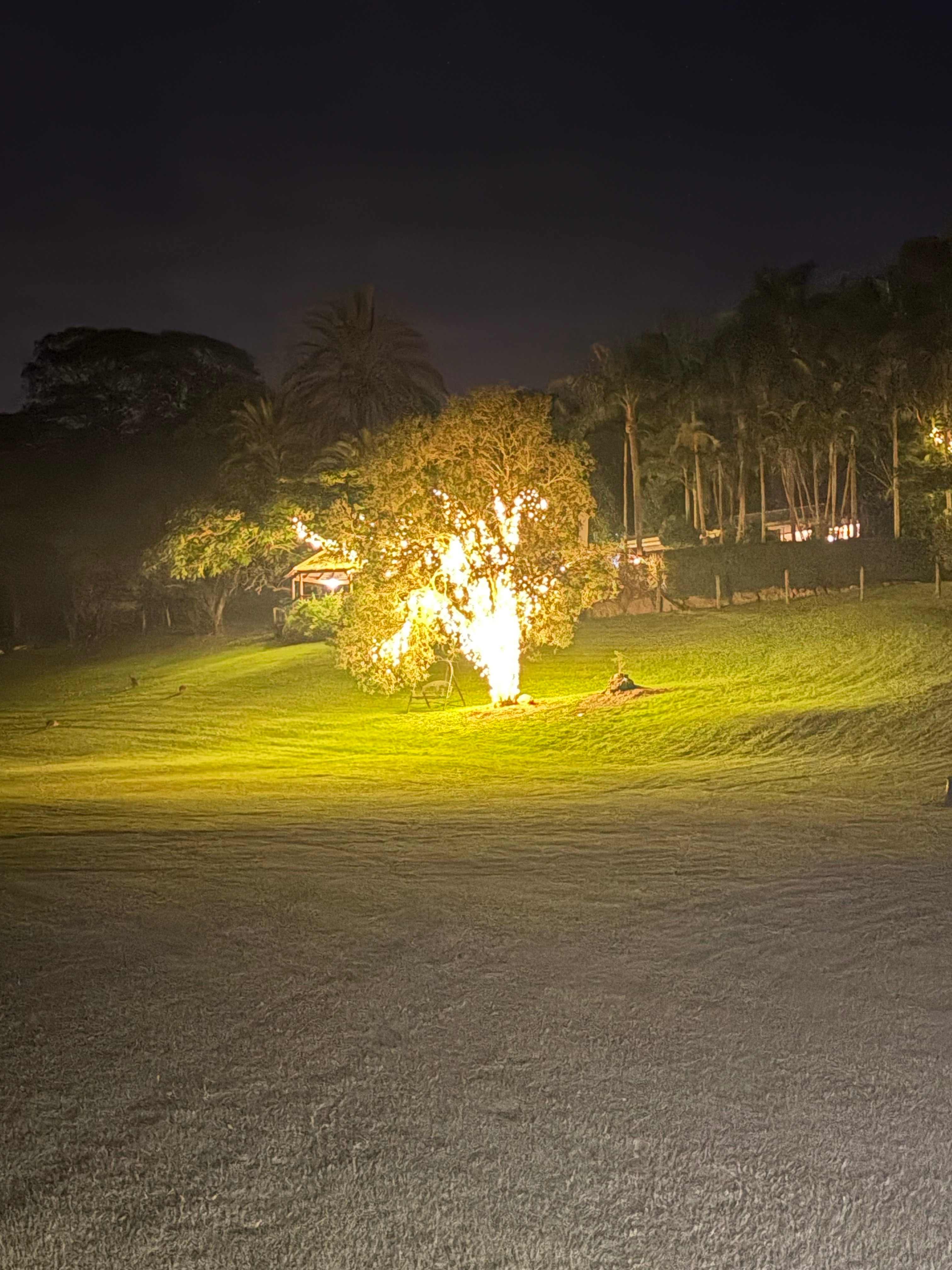 The Enchanted Paddock