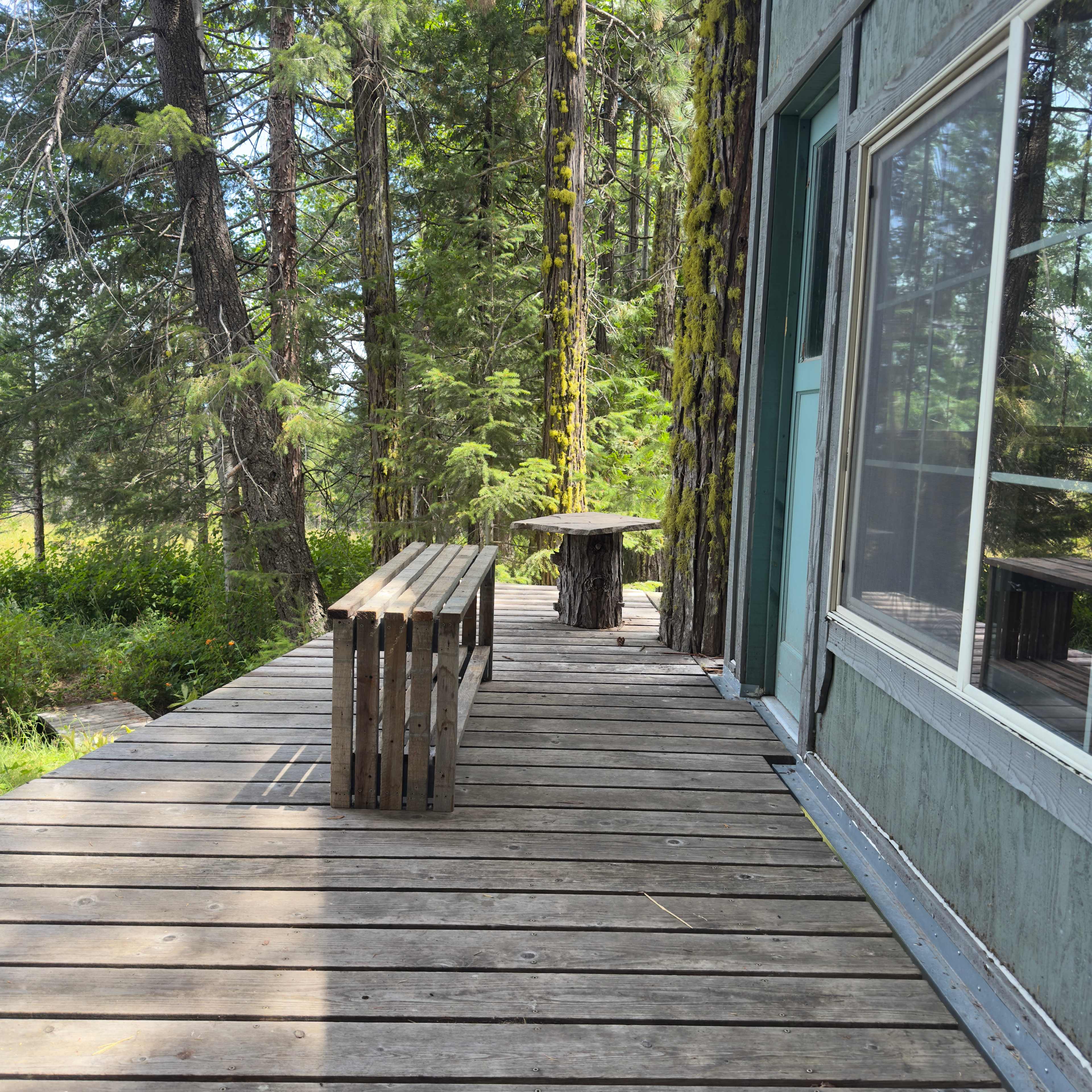 Tree House deck