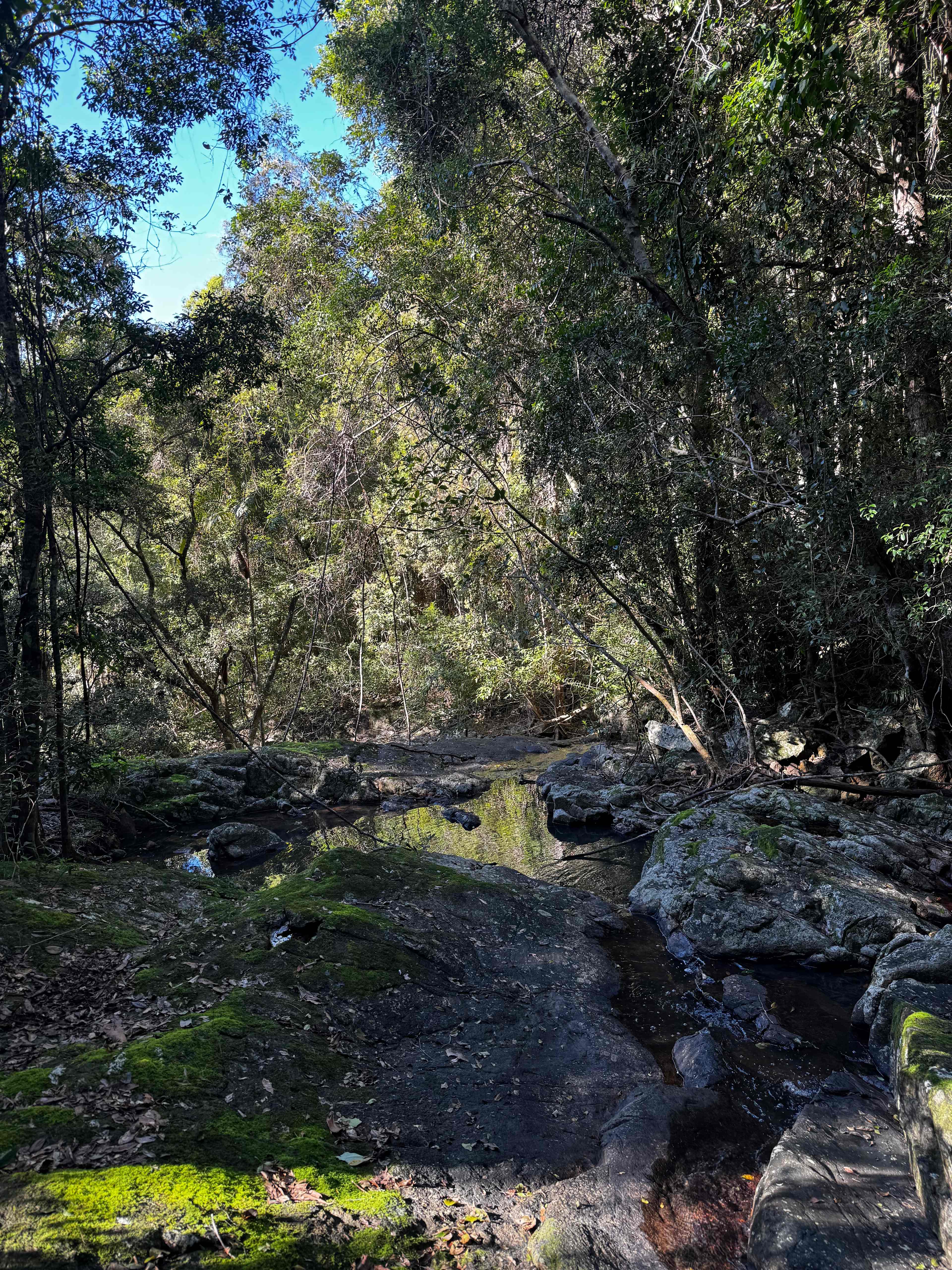 Woombye Rainforest Escape