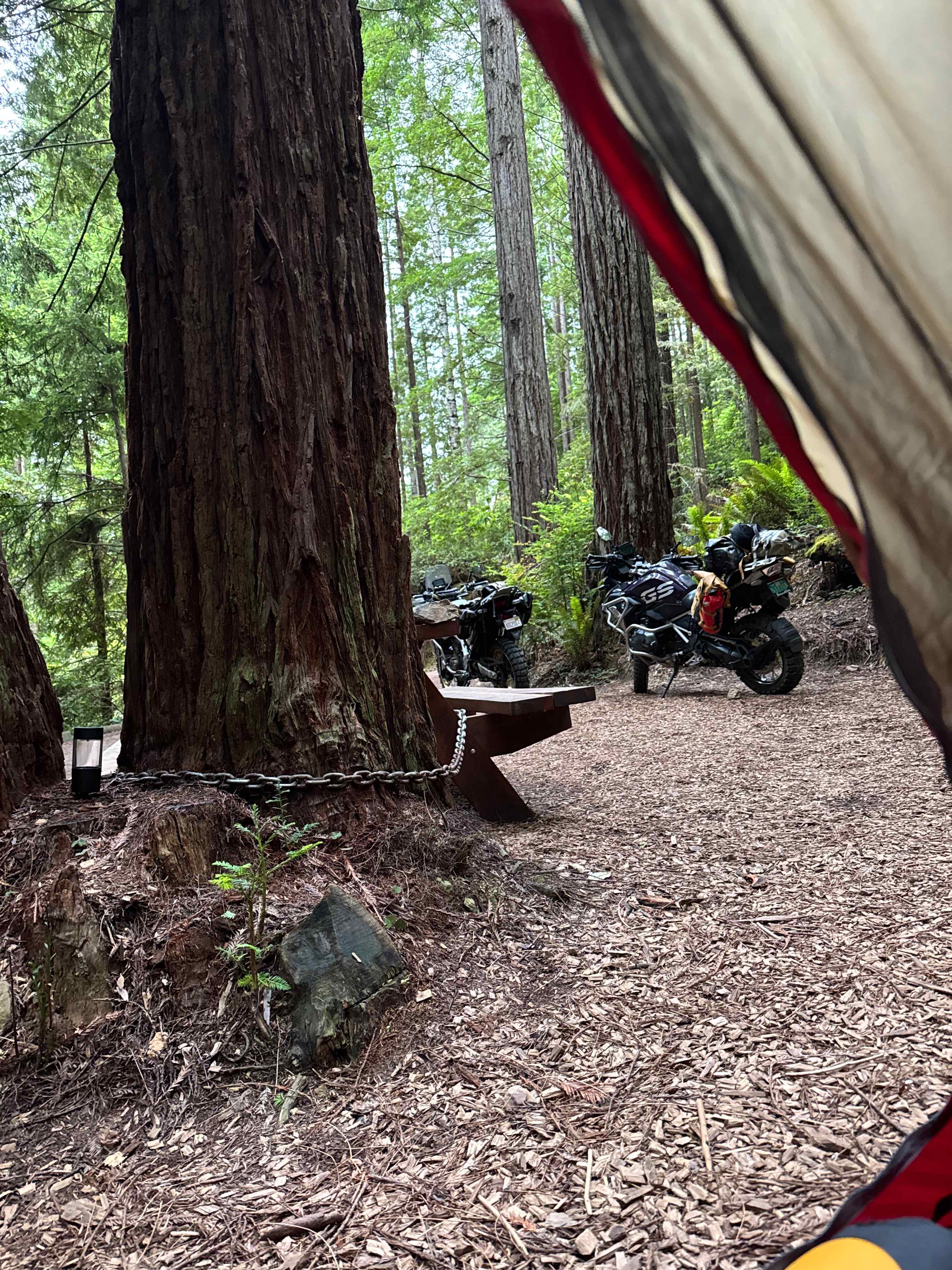 Whispering Redwood Creek