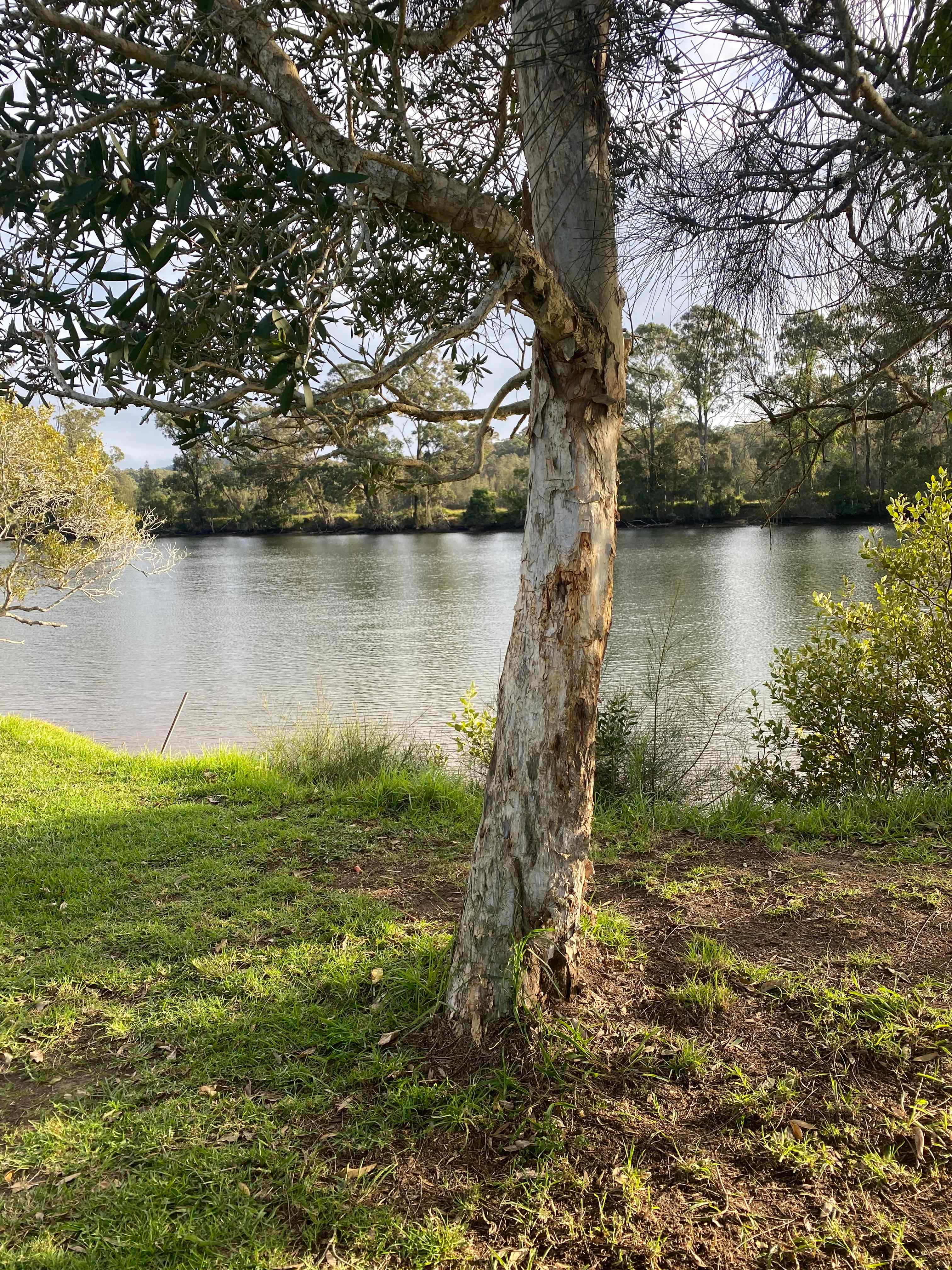 The Farm-Urunga riverfront camp 🏕️