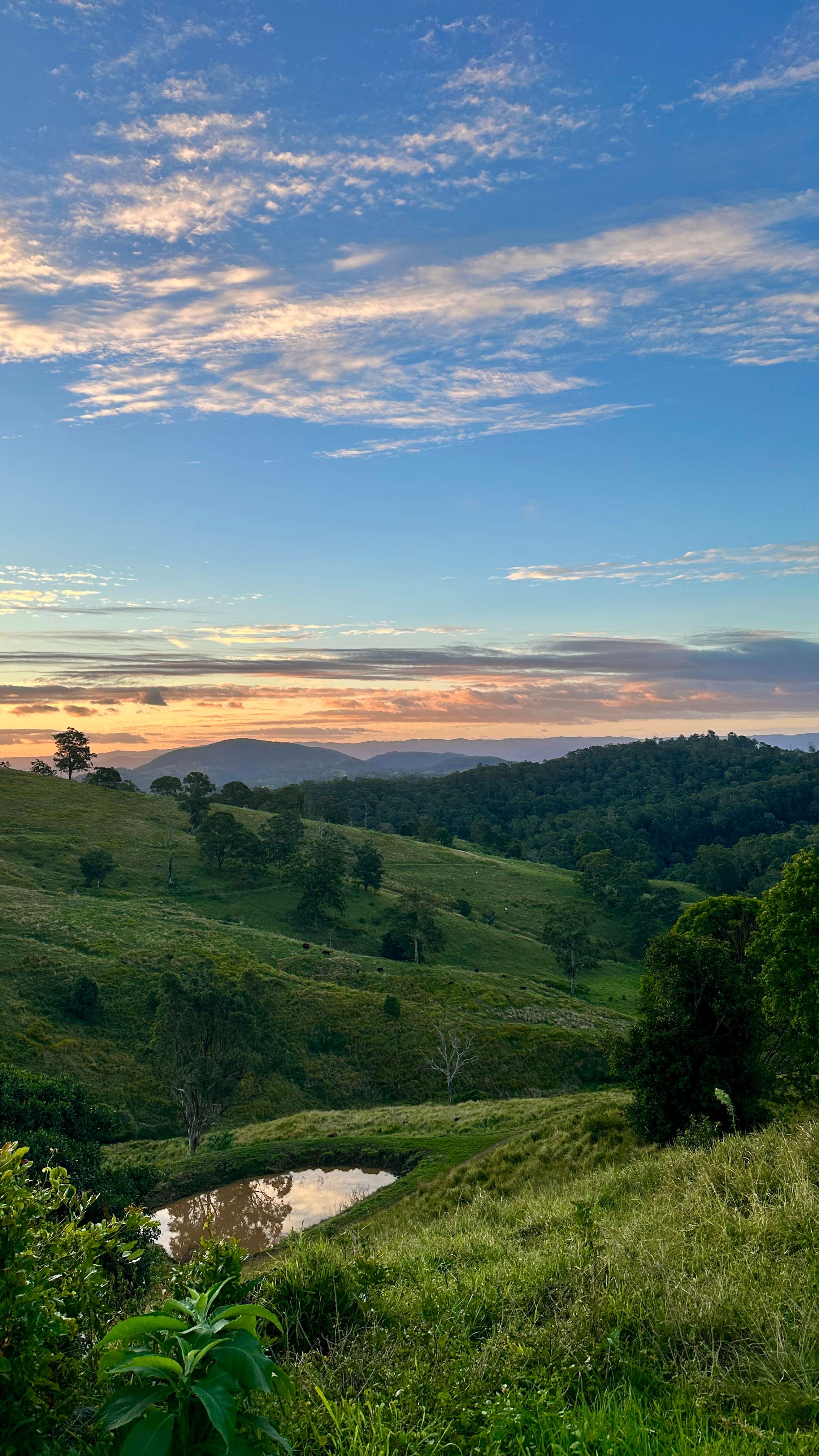 Coorie Vale
