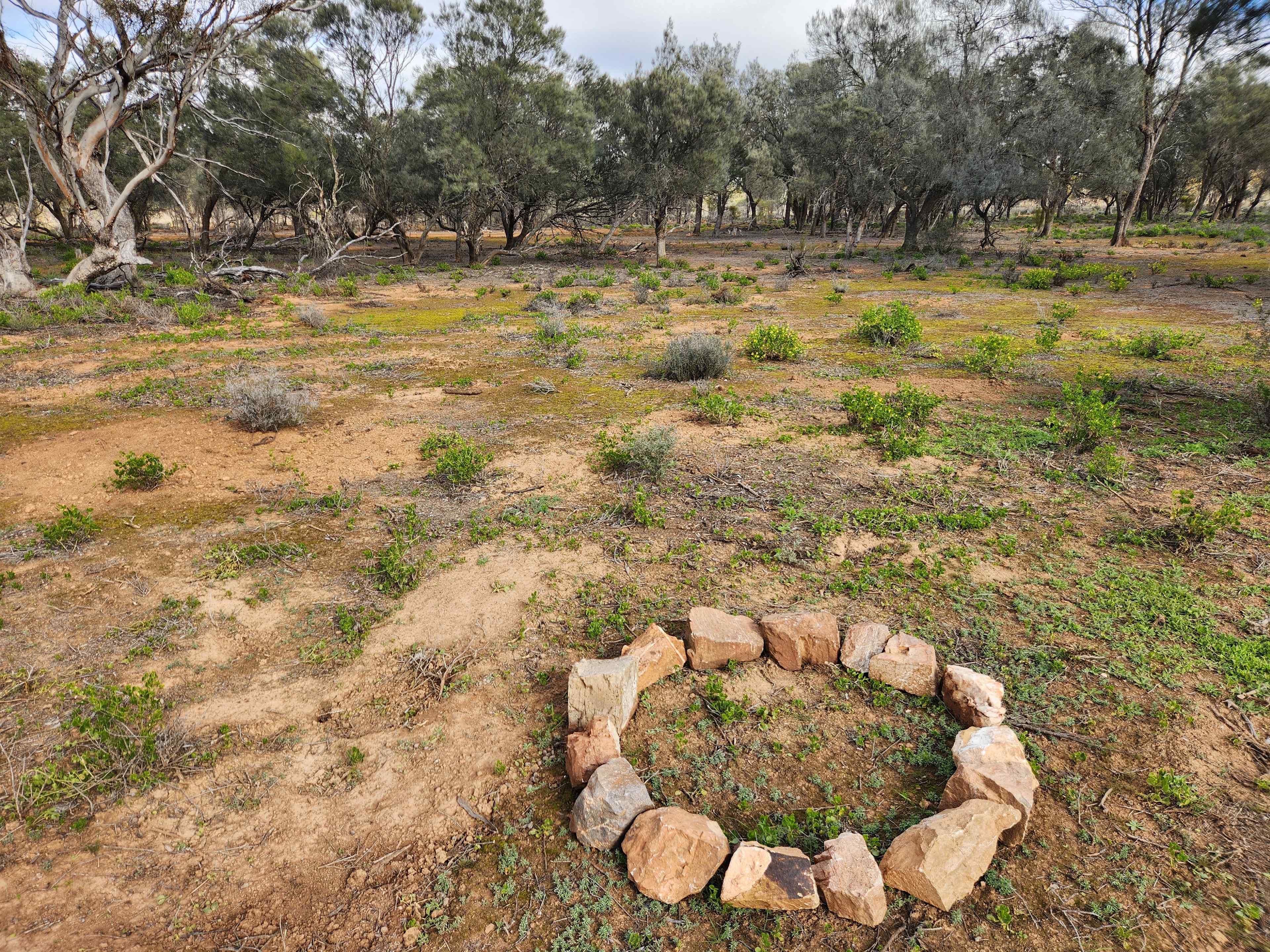 Picture of the site