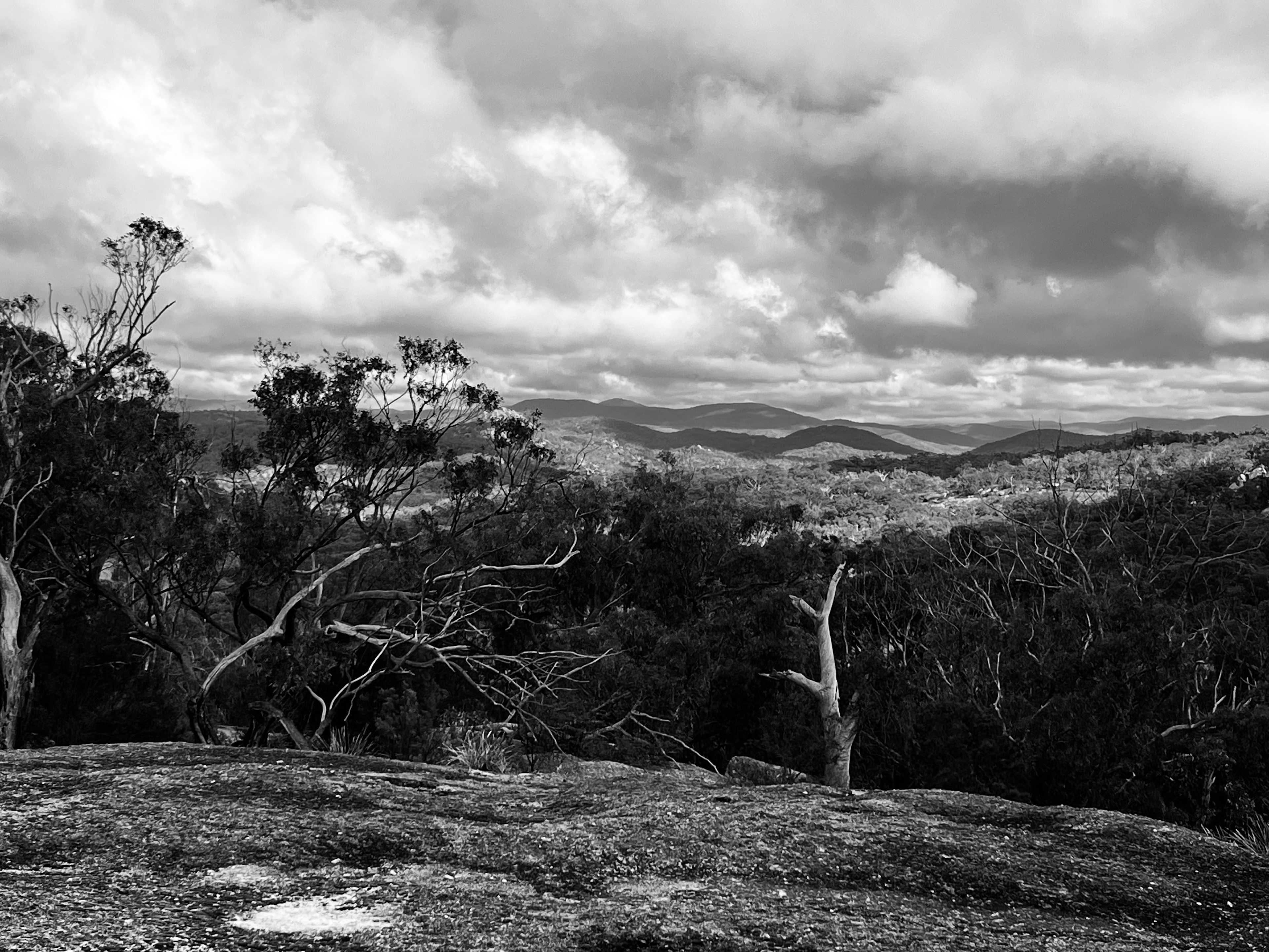 Farrup Bush Camp