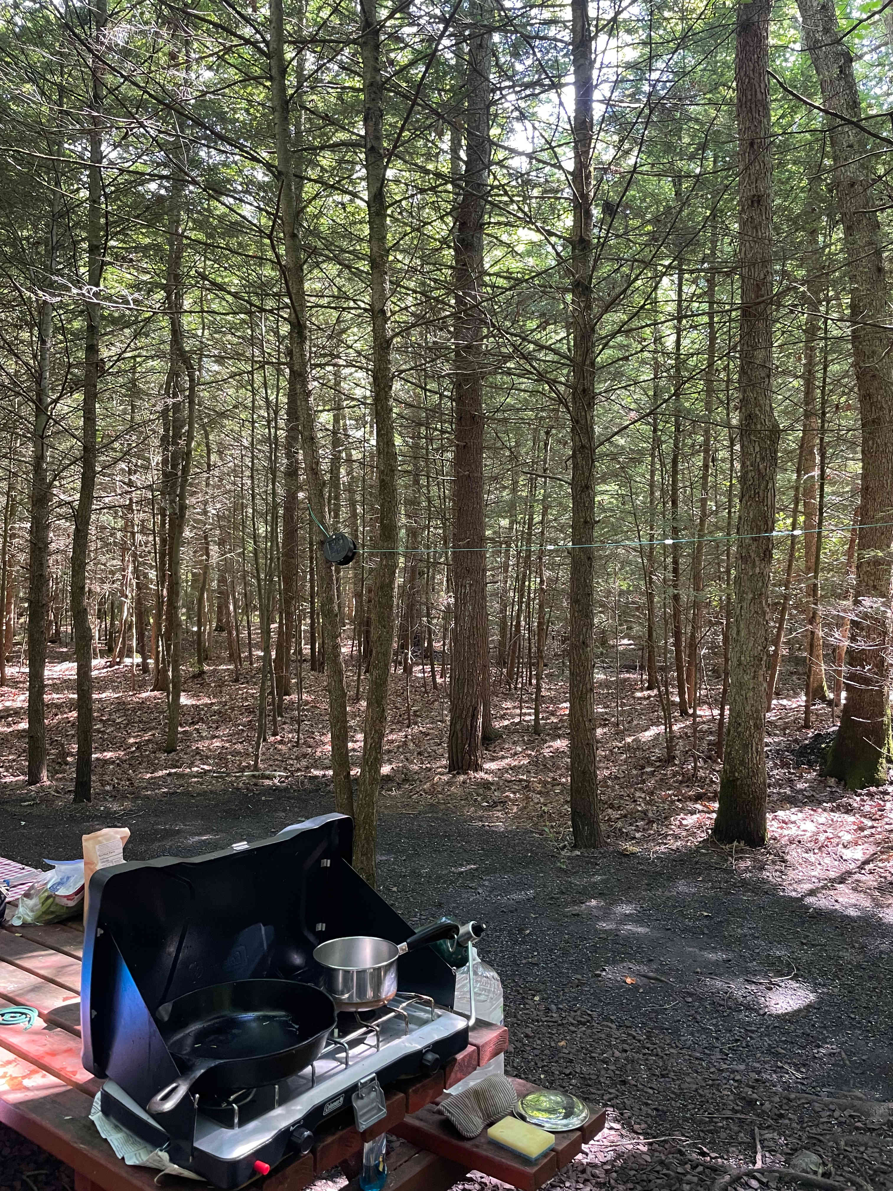we did see a black bear so didn’t do much exploring of the land this time!