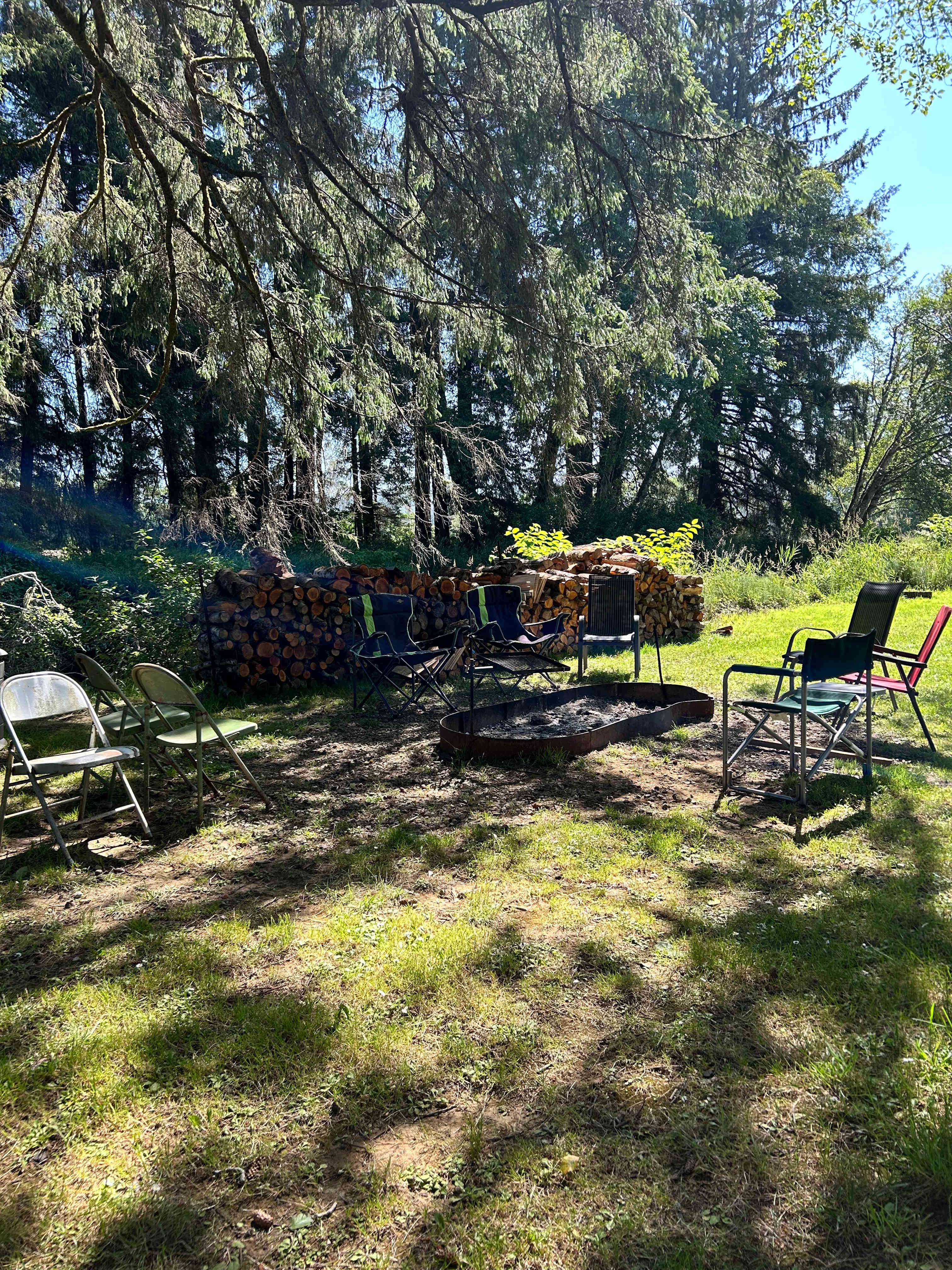 Williams Park campground