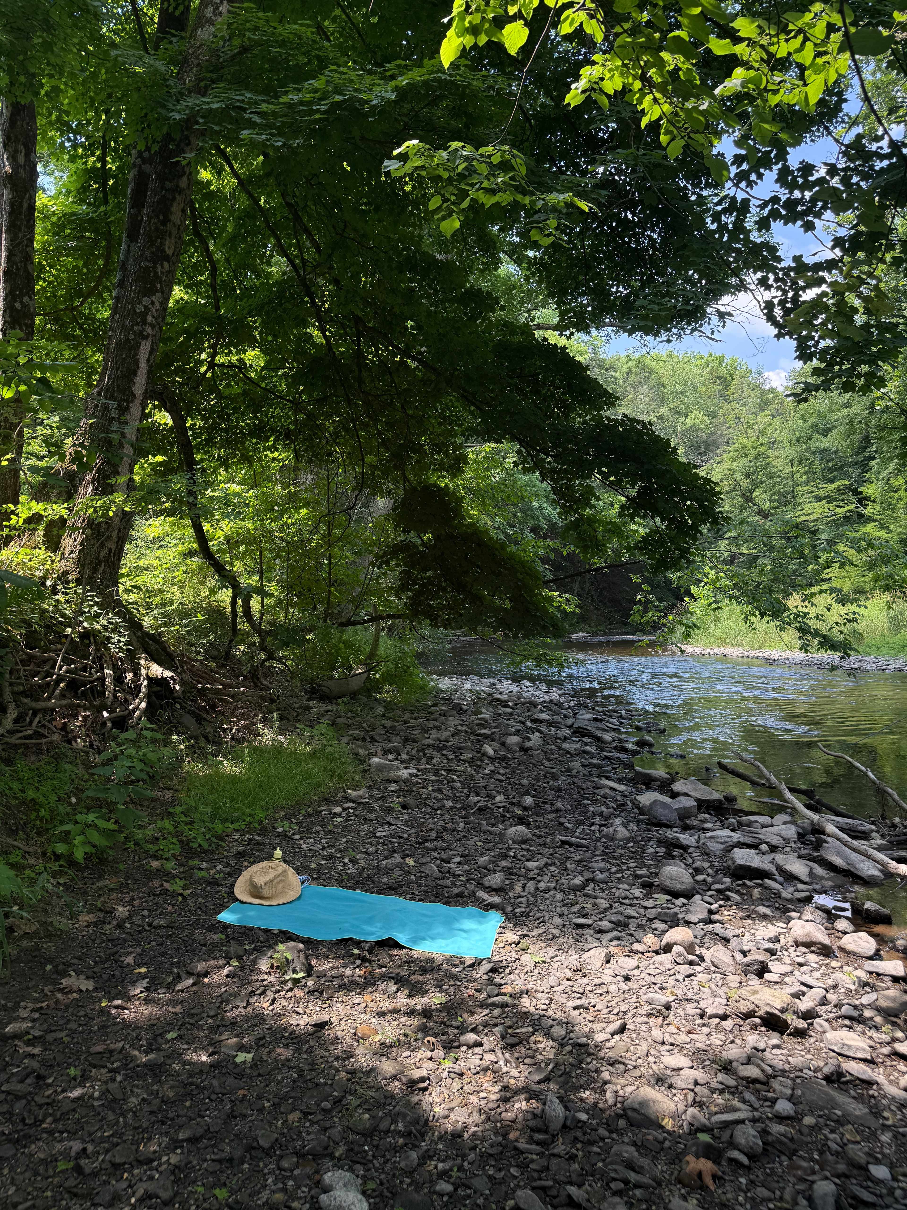 Hucklebuck Railway Campsites
