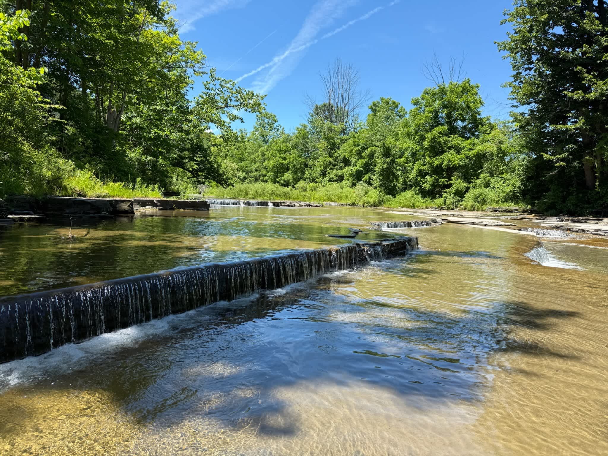 A local told us of a nearby swimming spot on Spring Street in Otsquago Creek. Highly Recommend! There's deeper pools and it's about 10 minutes towards Fort Plain from Jo's. Coordinates: 42.926666, -74.664409