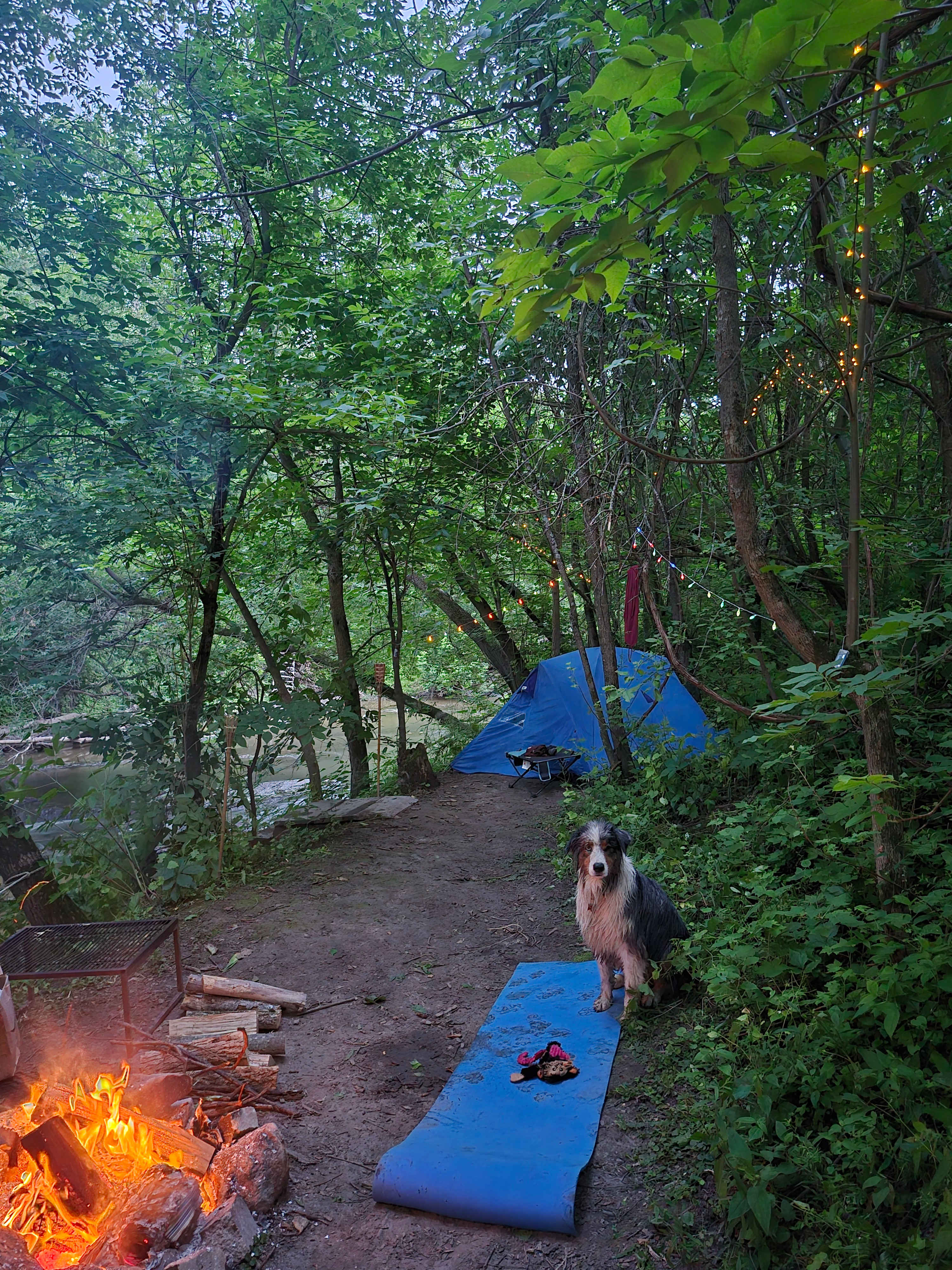 La Nation BedROCK 🤘 🏕️🔥🌲