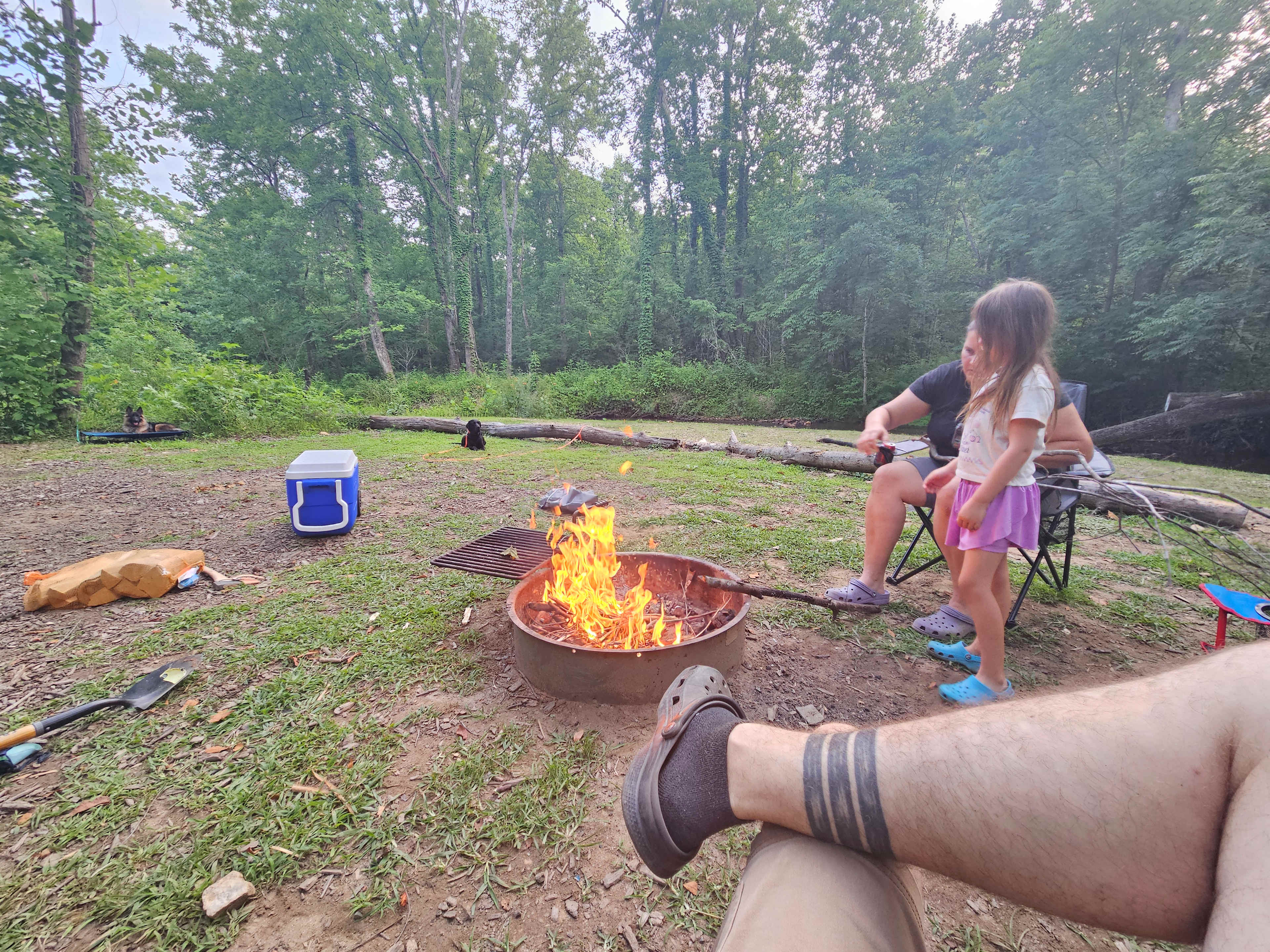 TangleWood Creekside Campsites