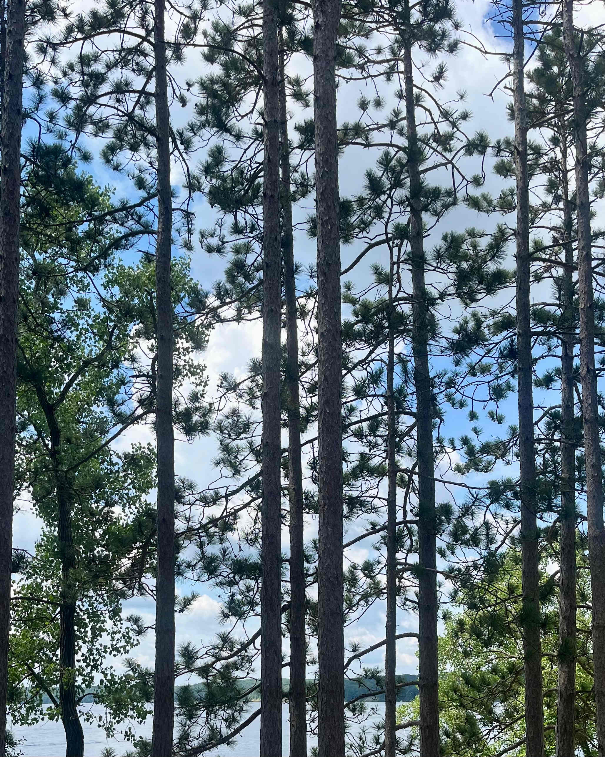 On the trail