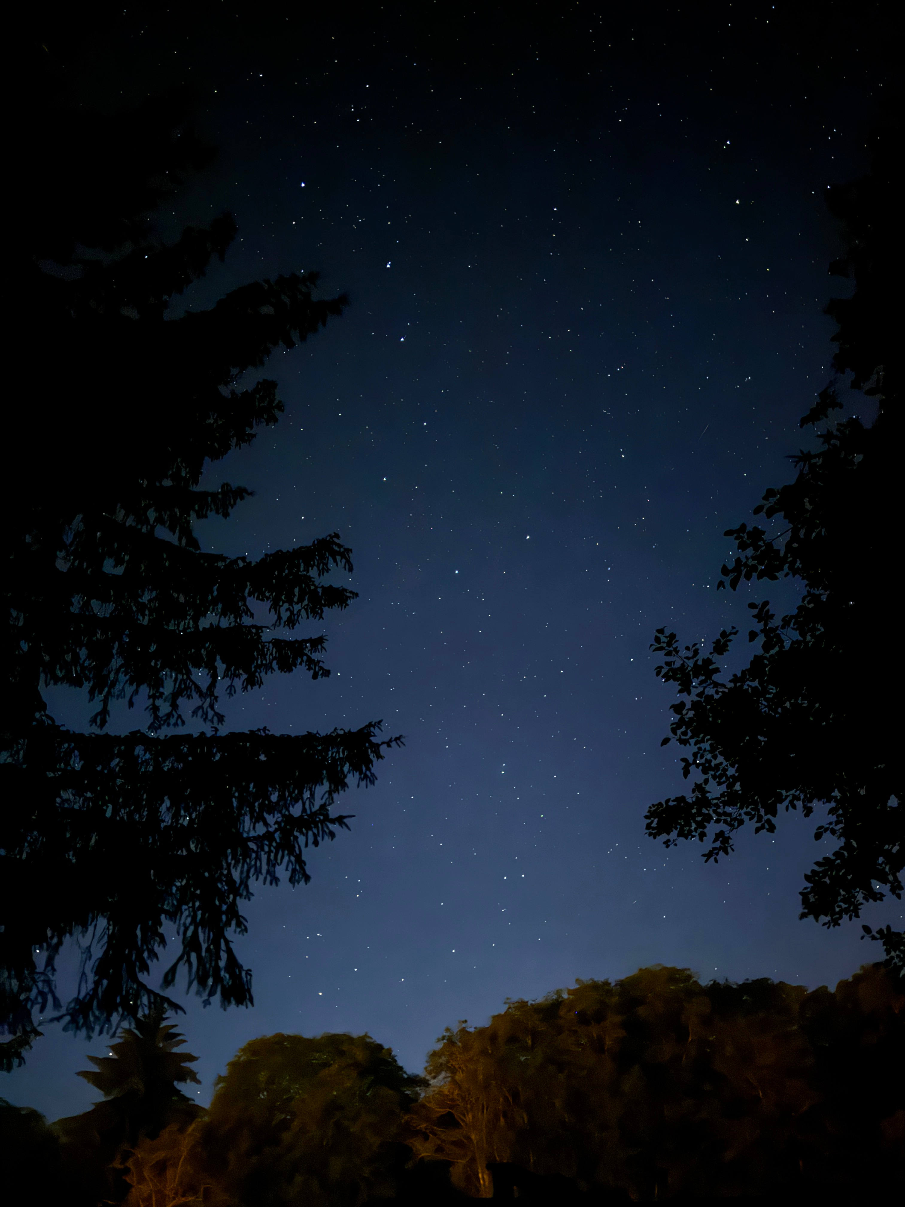 Riverfront Siletz Camp