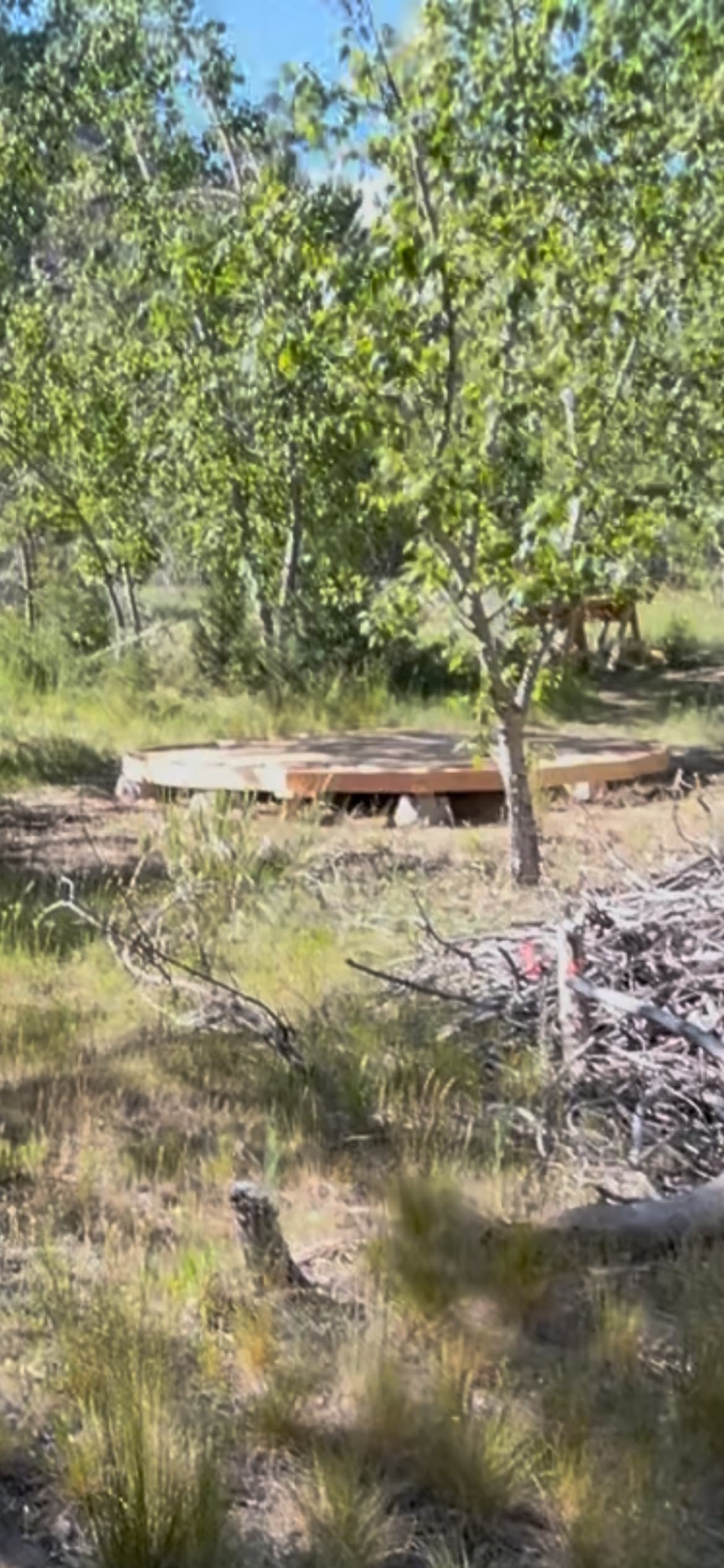 Picture of the site