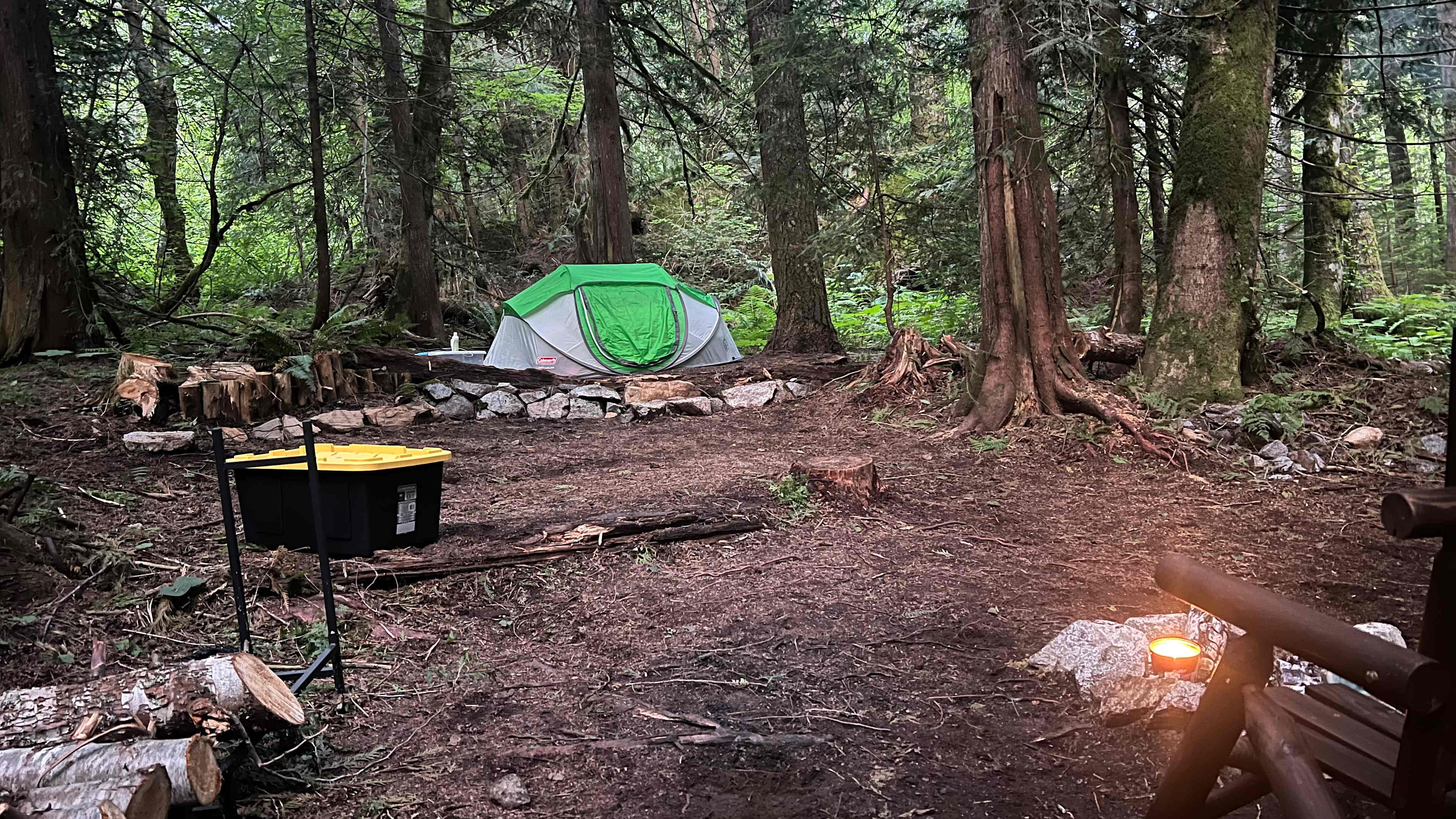 Picture of the site