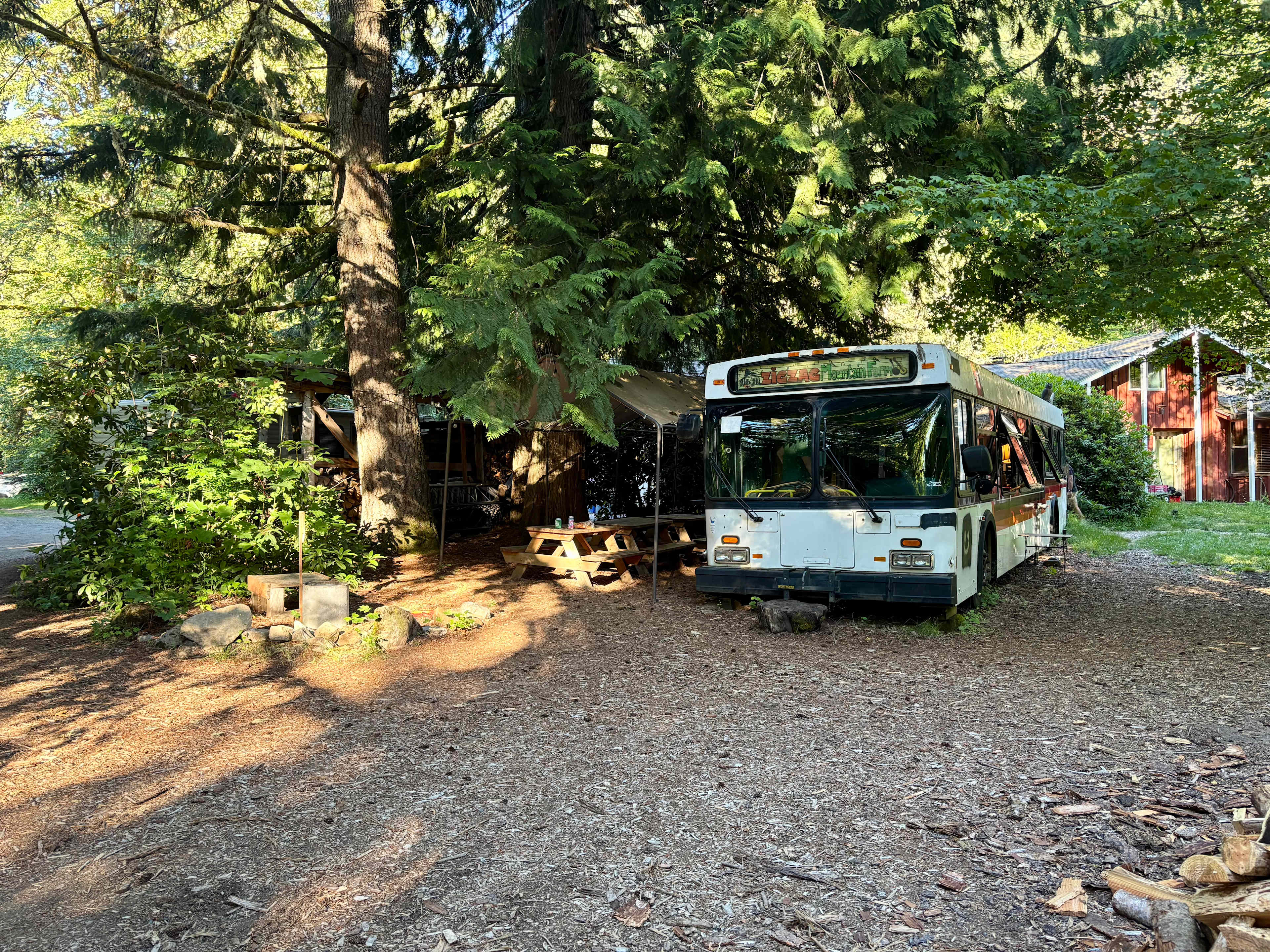 Picture of the site