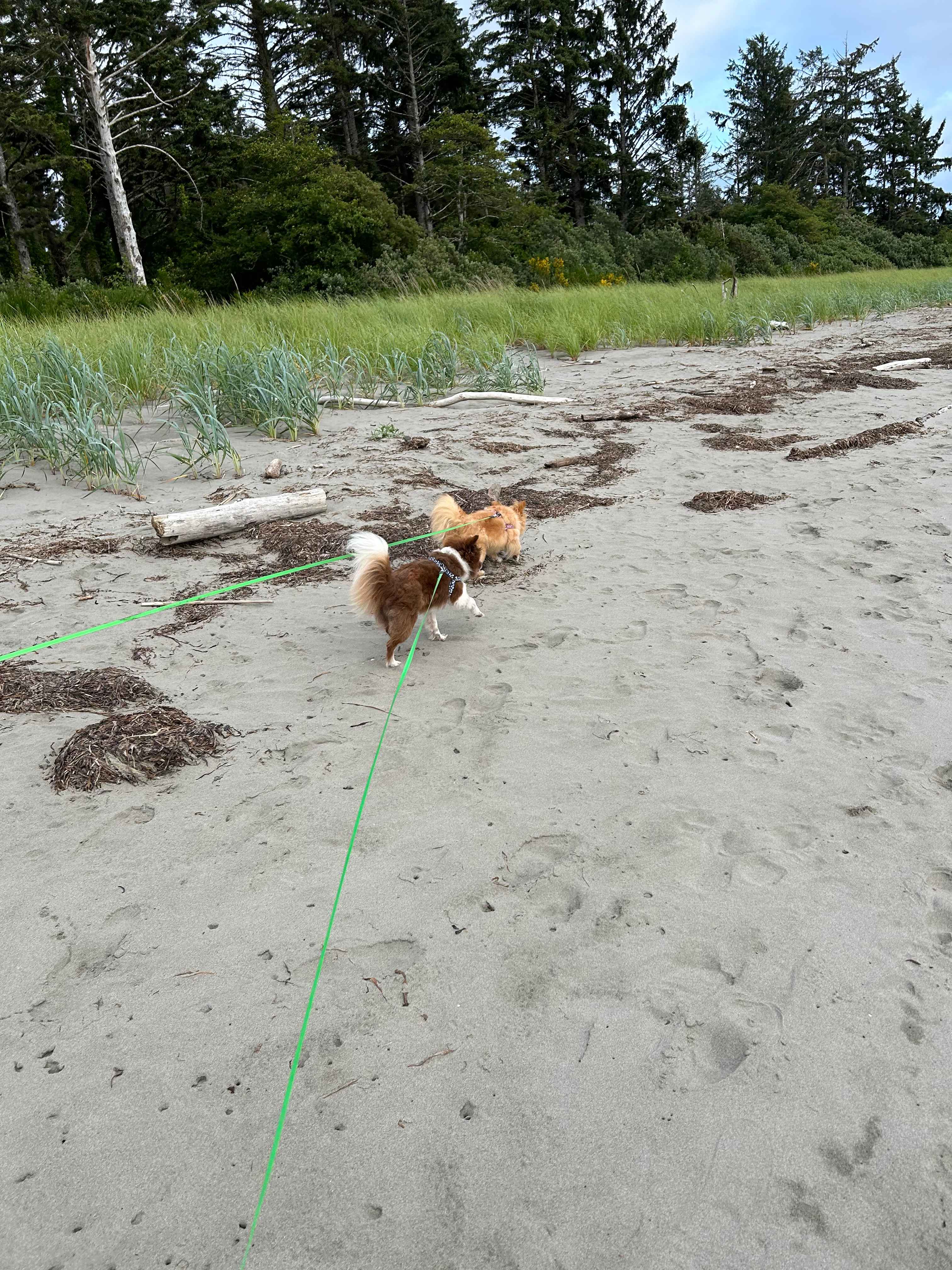 The bay is excellent to walk kids and pets