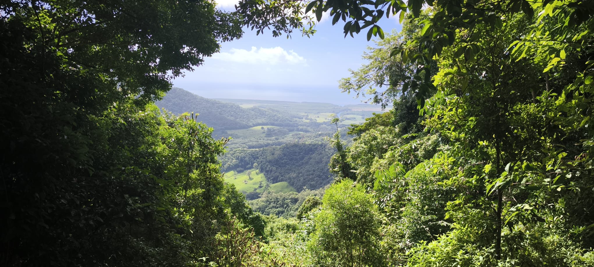 Bump Track Lookout