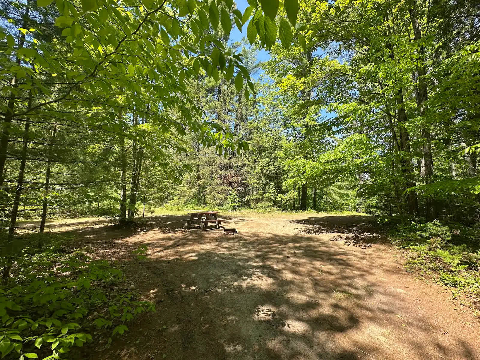 Picture of the site