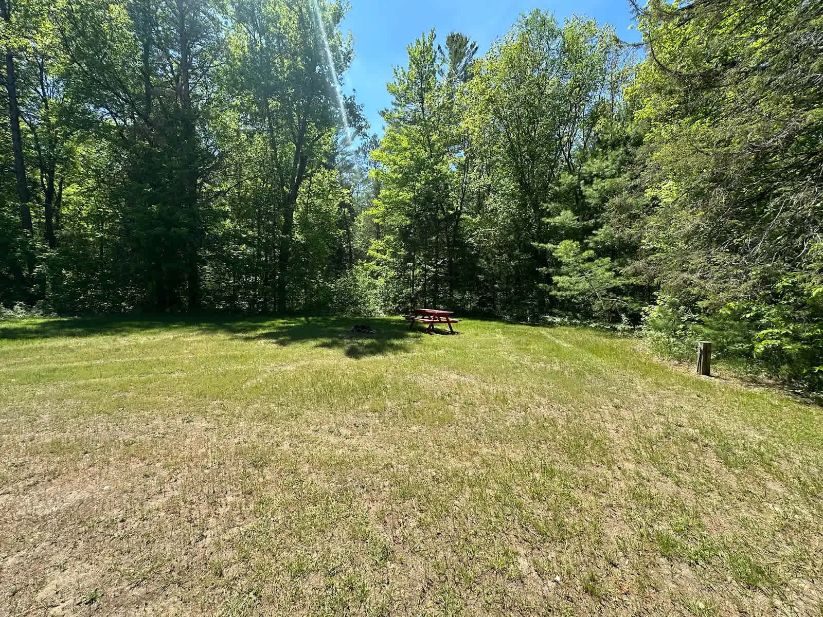 Picture of the site