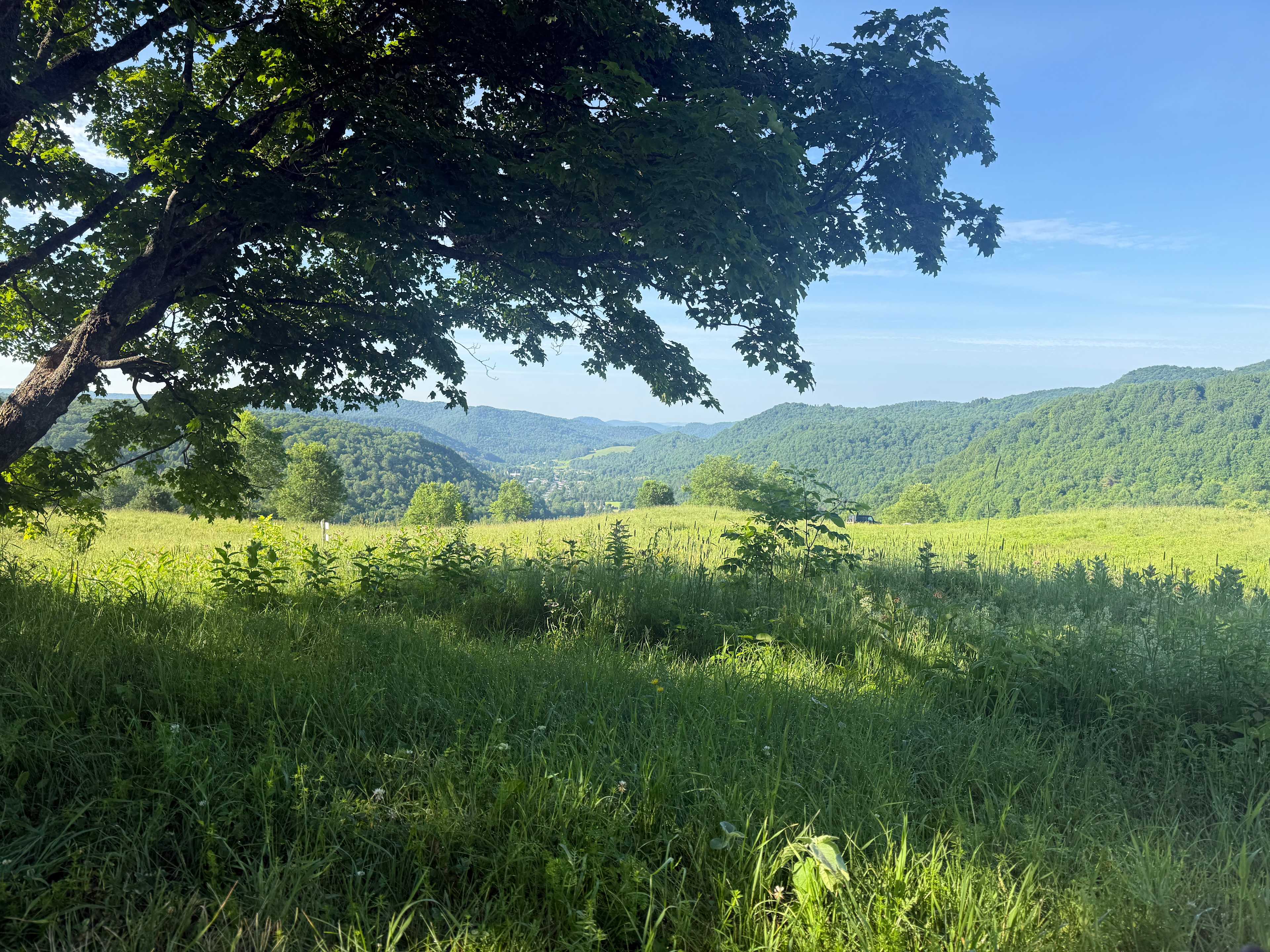 Free Verse Farm