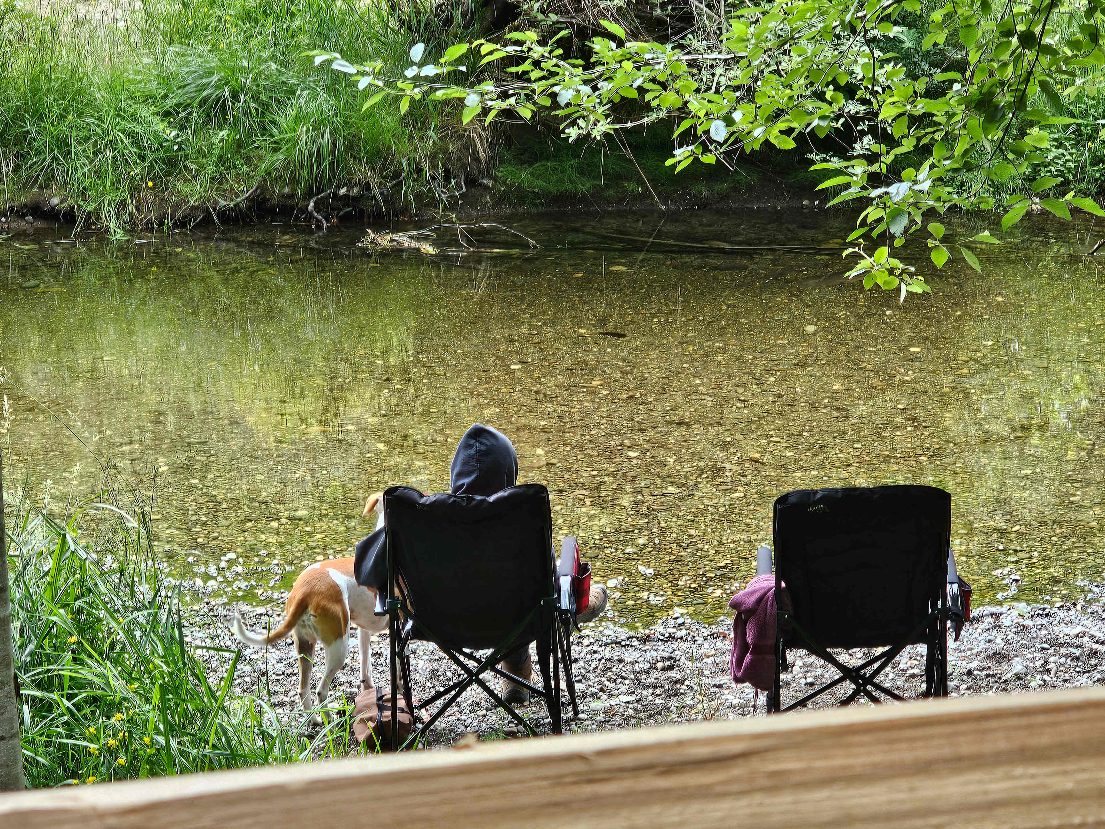 Tahuya River Lodge Campground
