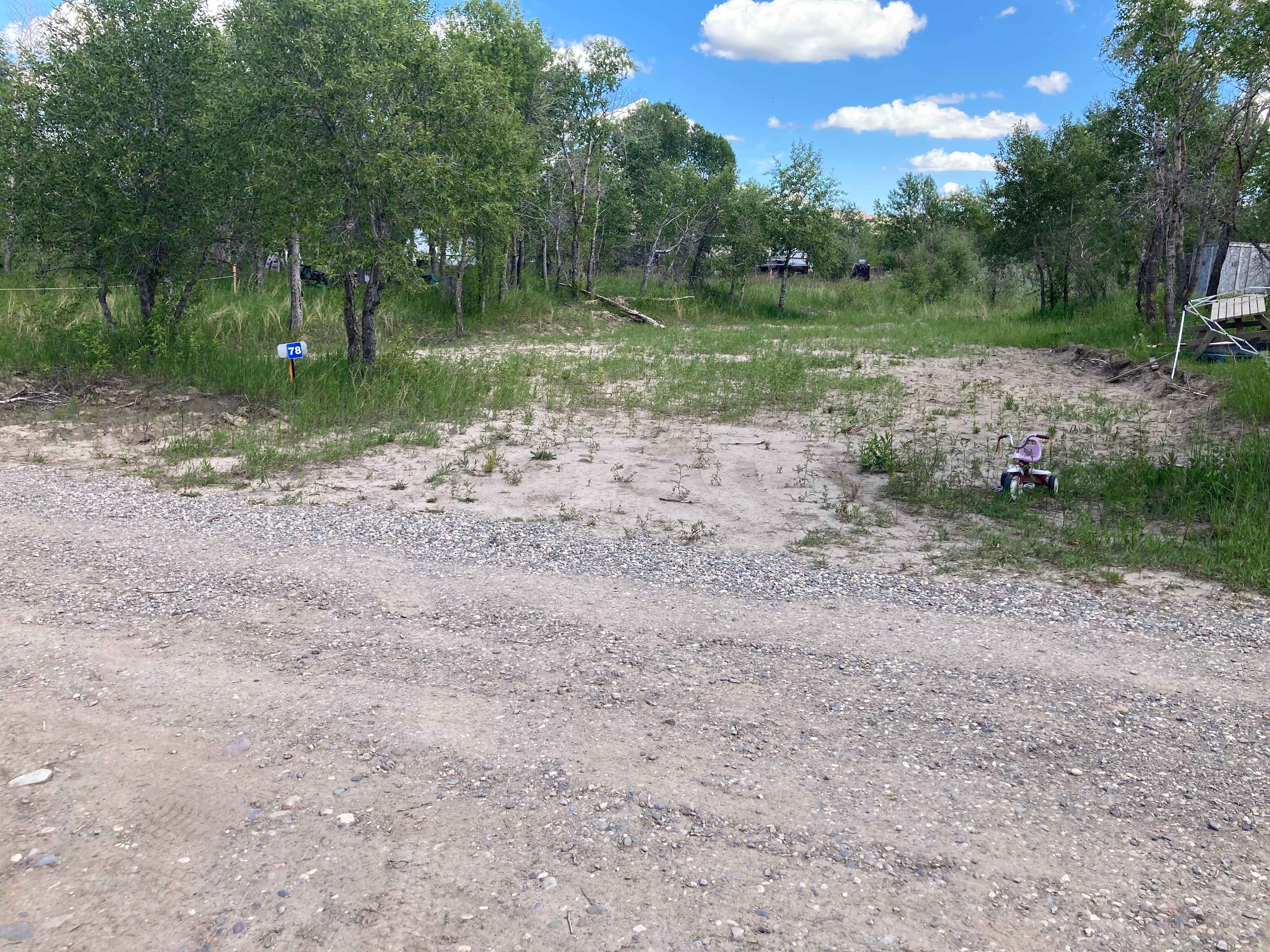 Picture of the site