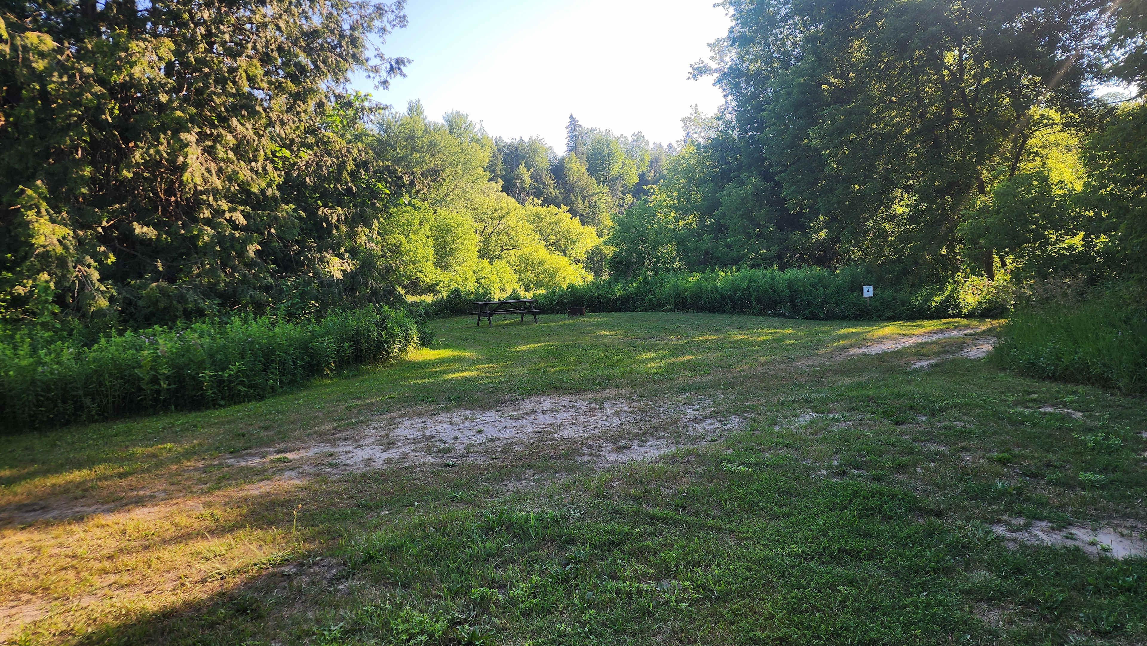 Picture of the site