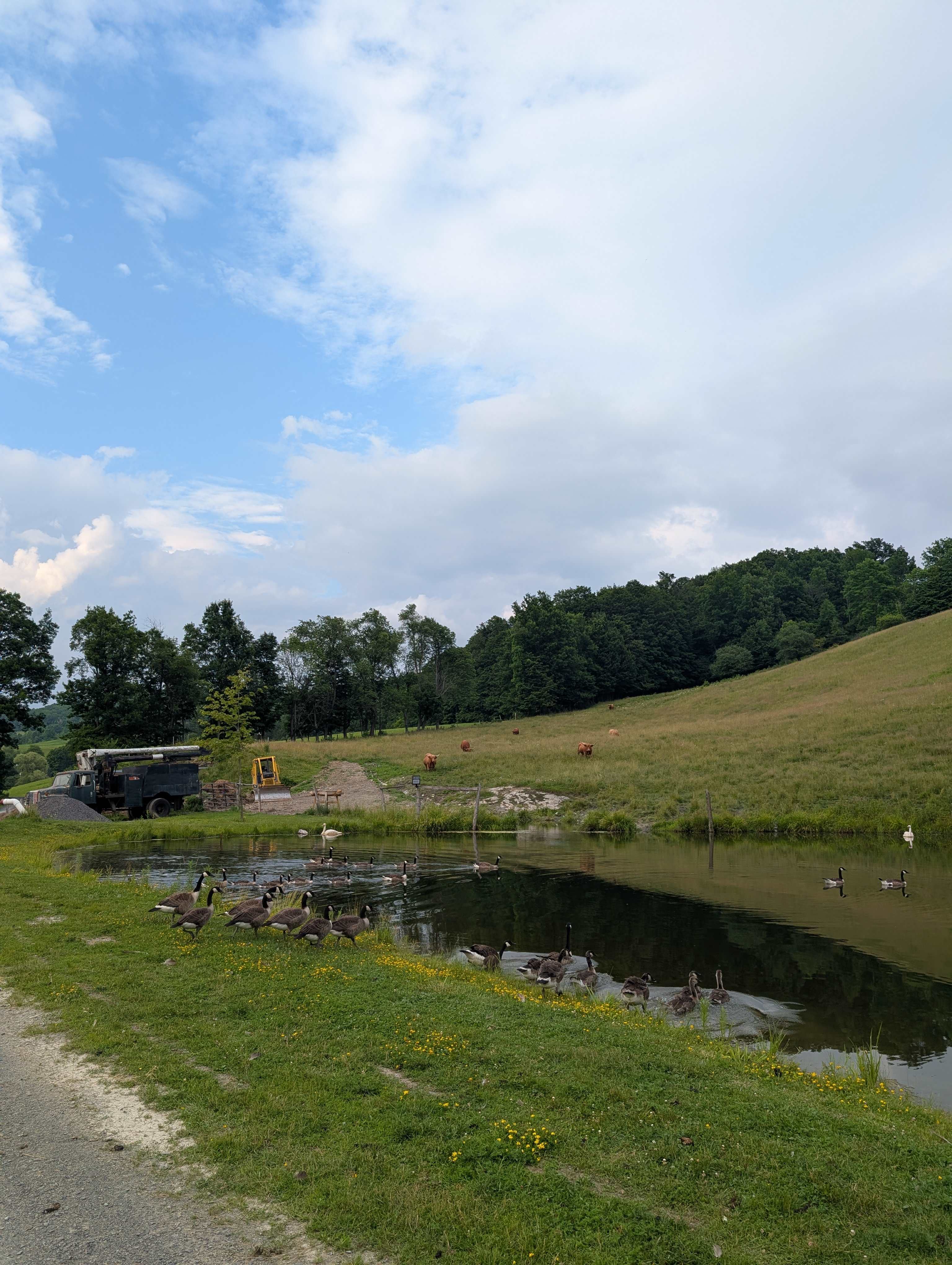 Slateville Farm Secluded Camps