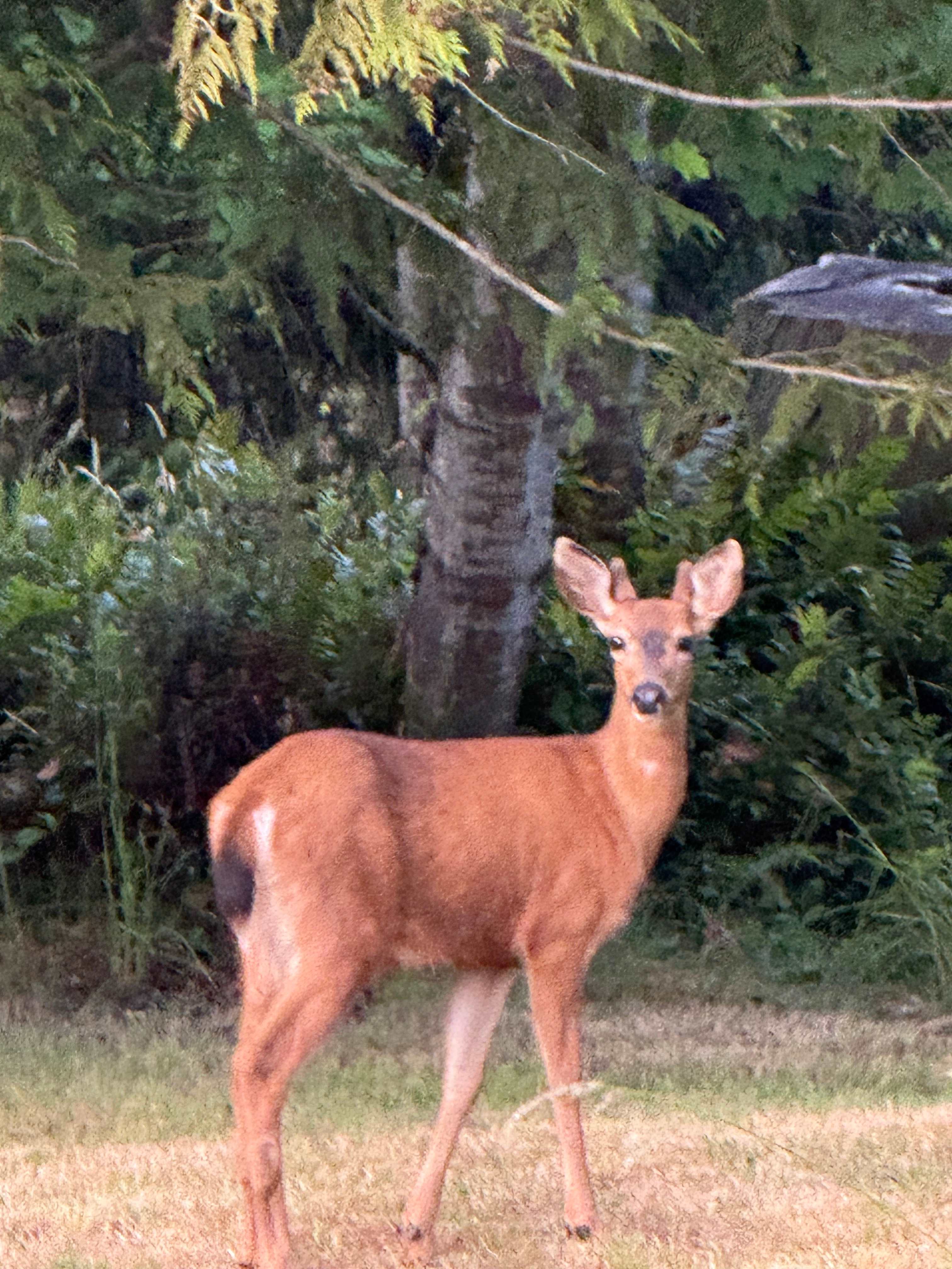 One of the sweet visitors