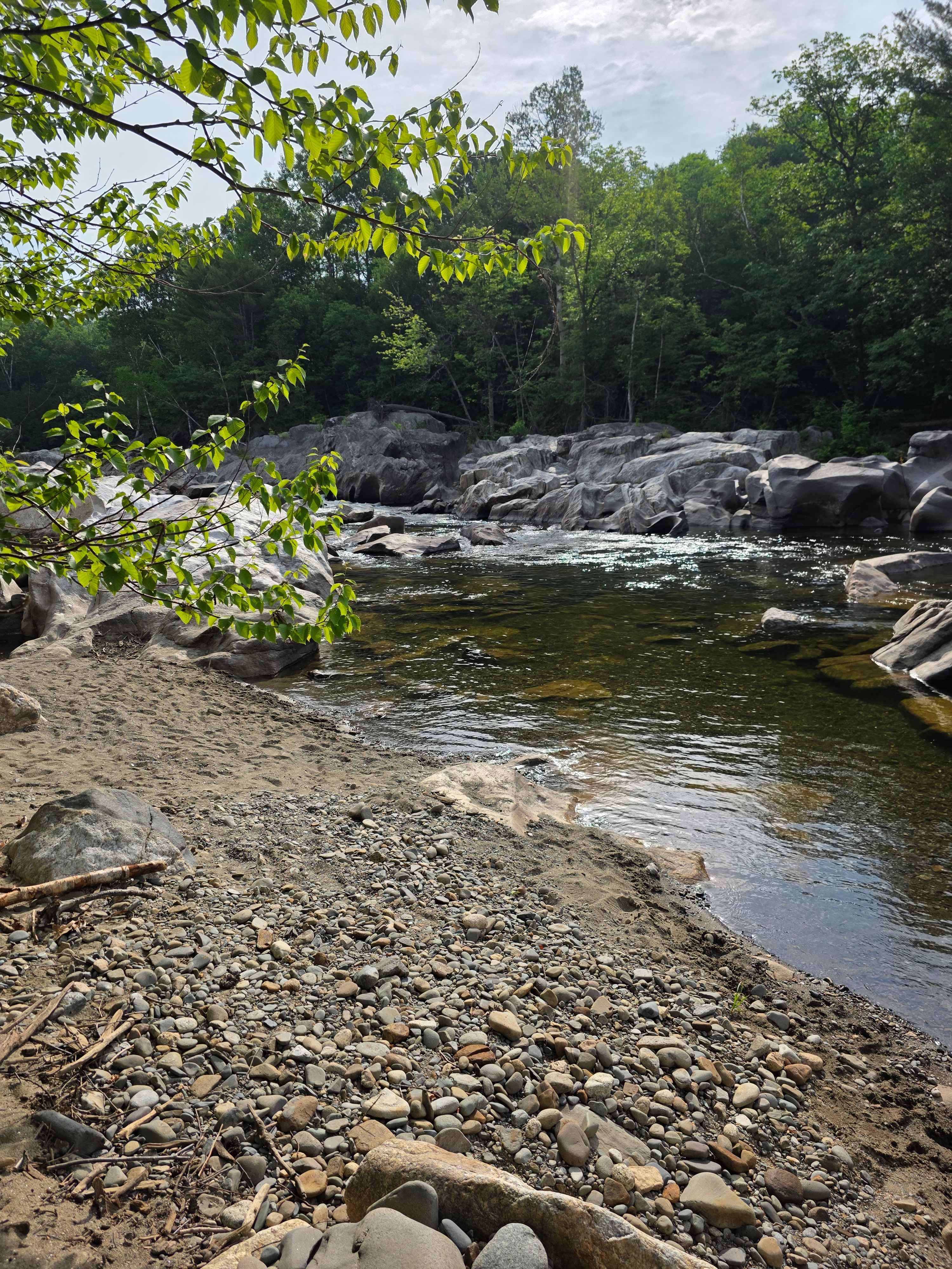 🌲 40 Acres Of Riverfront Serenity