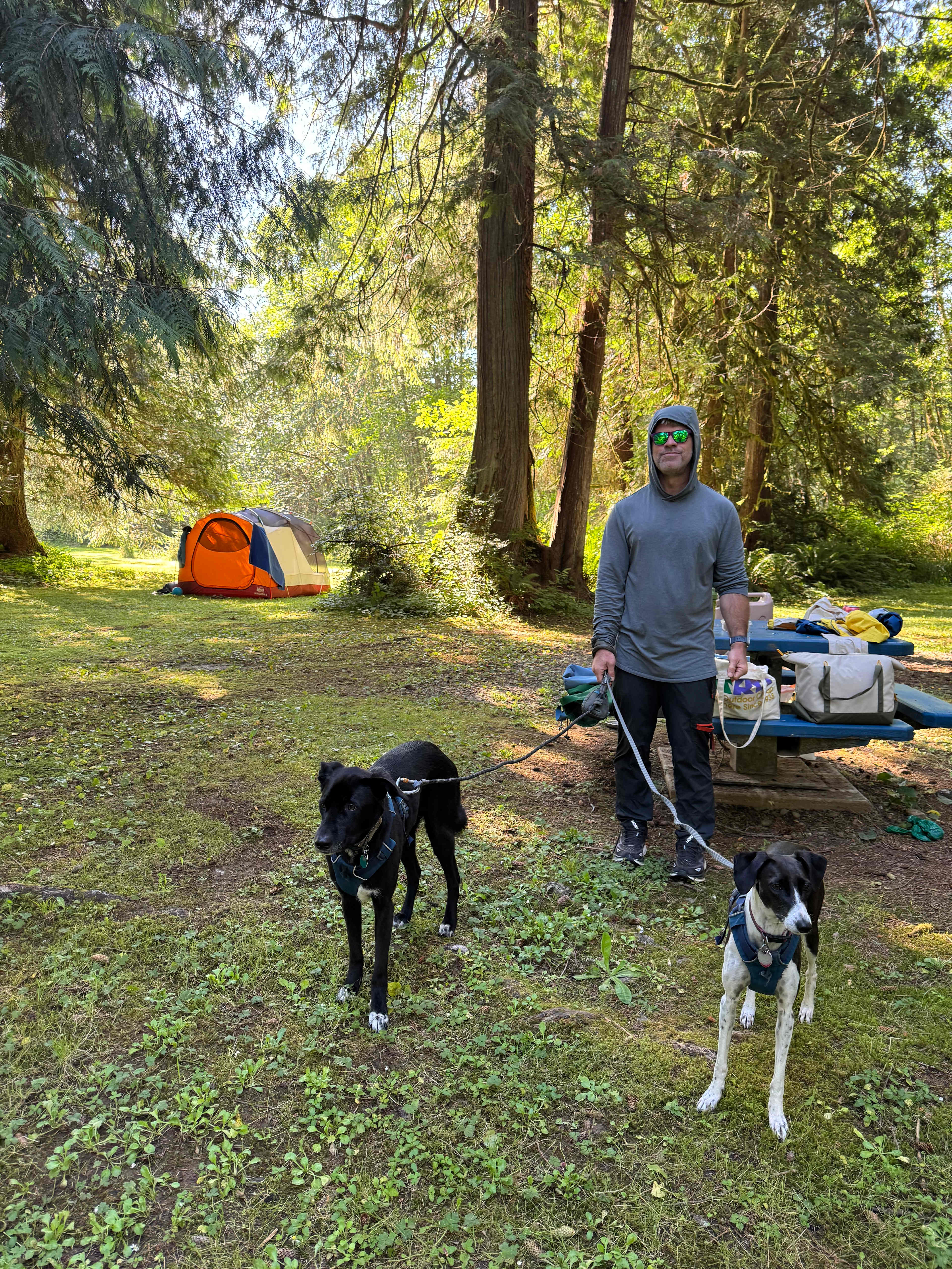 Williams Park campground