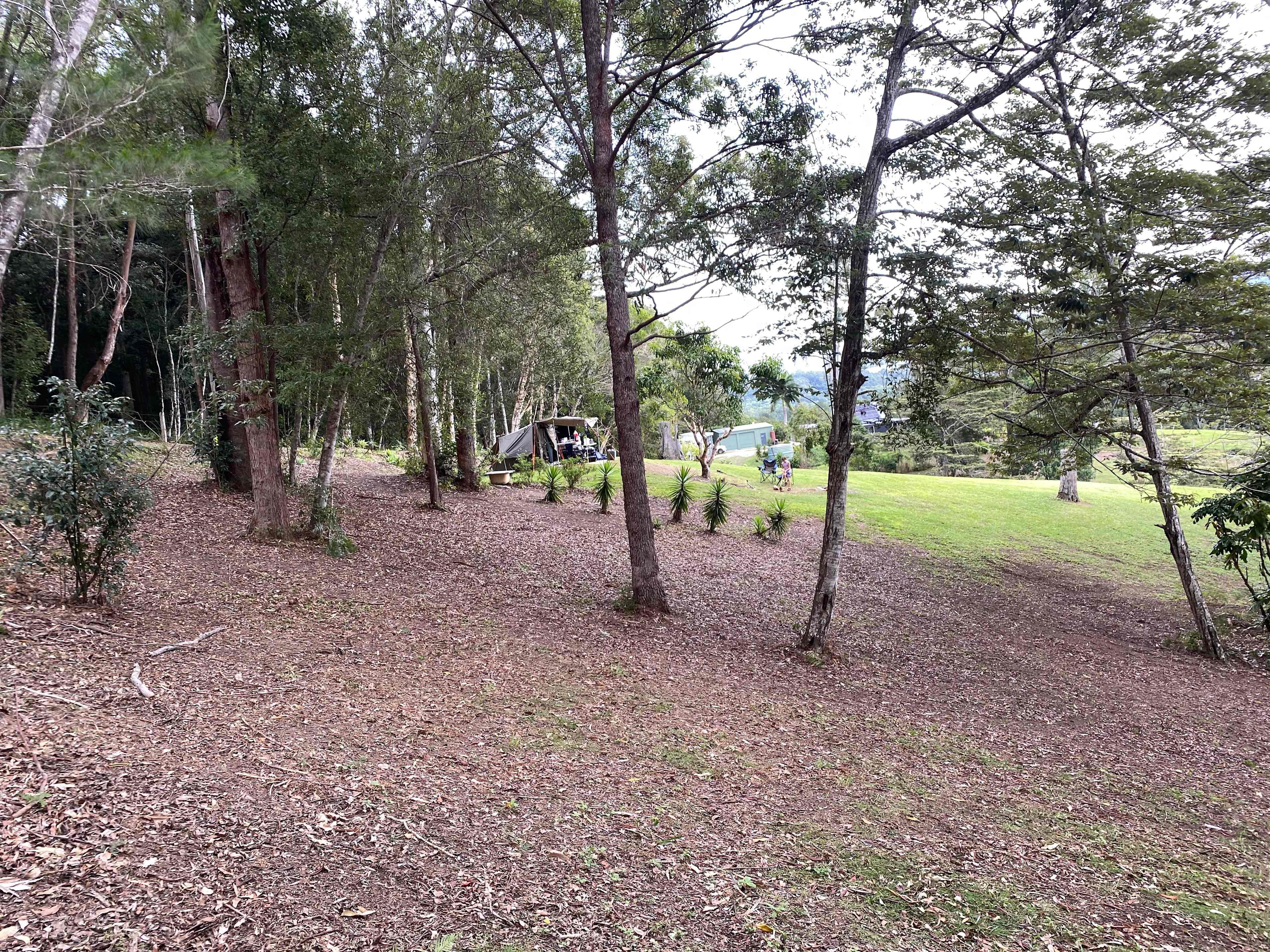 Sarah’s Farm🕊️ 4wd