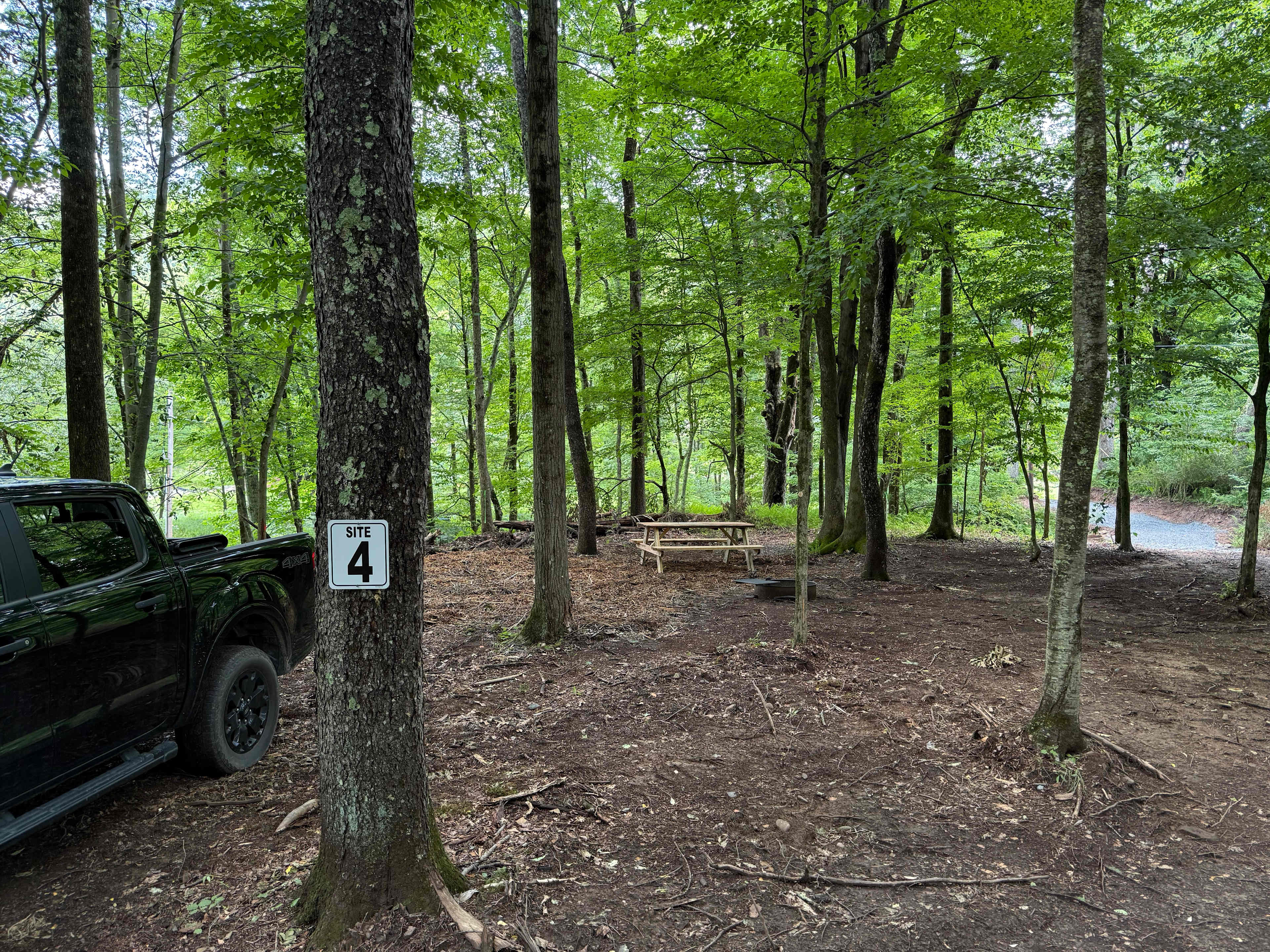 Picture of the site