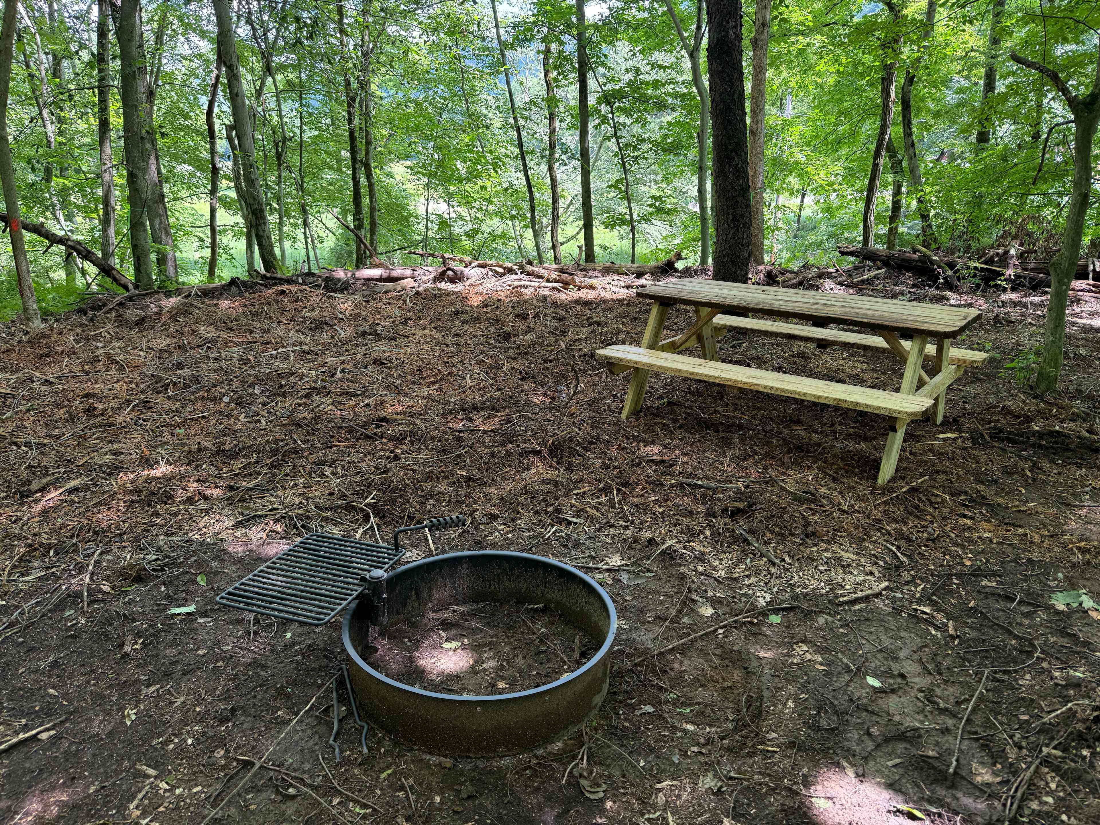 Picture of the site