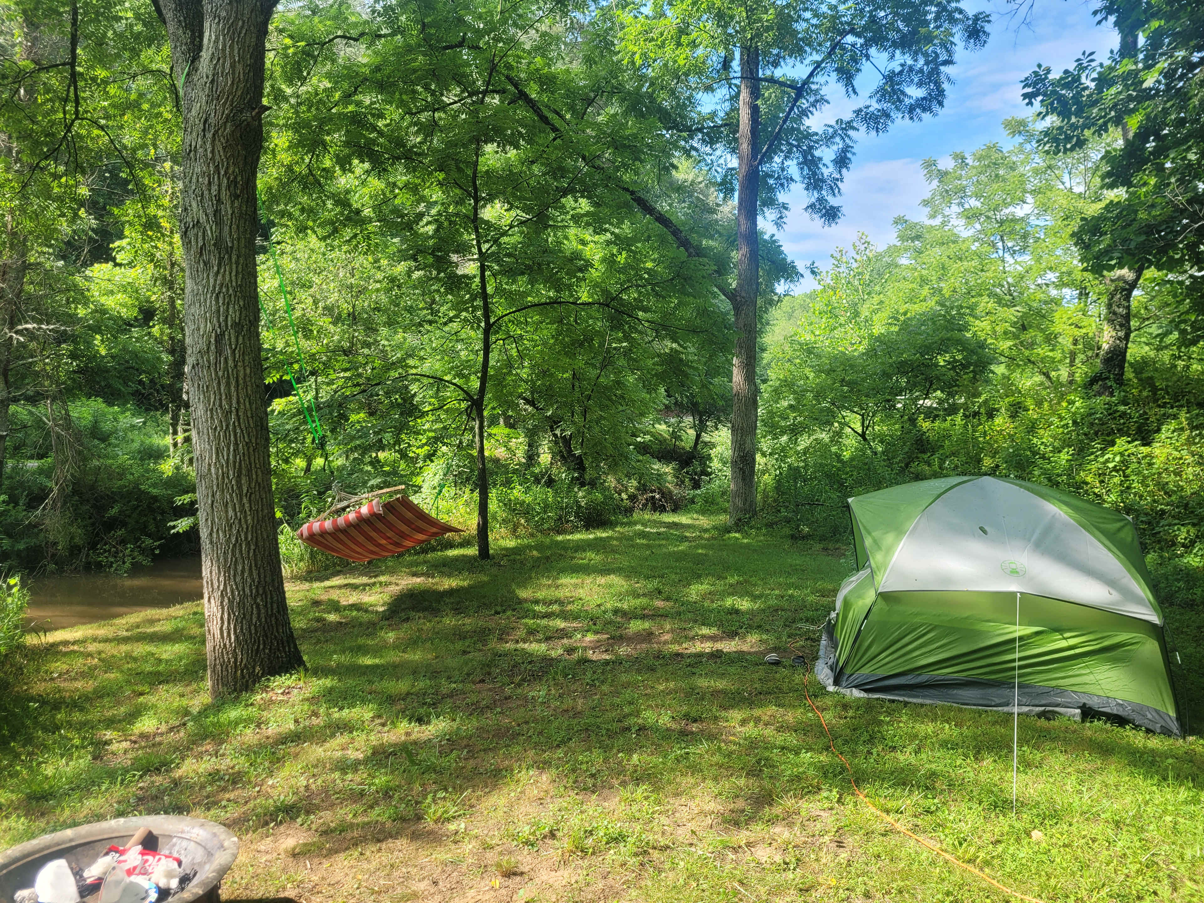 Picture of the site