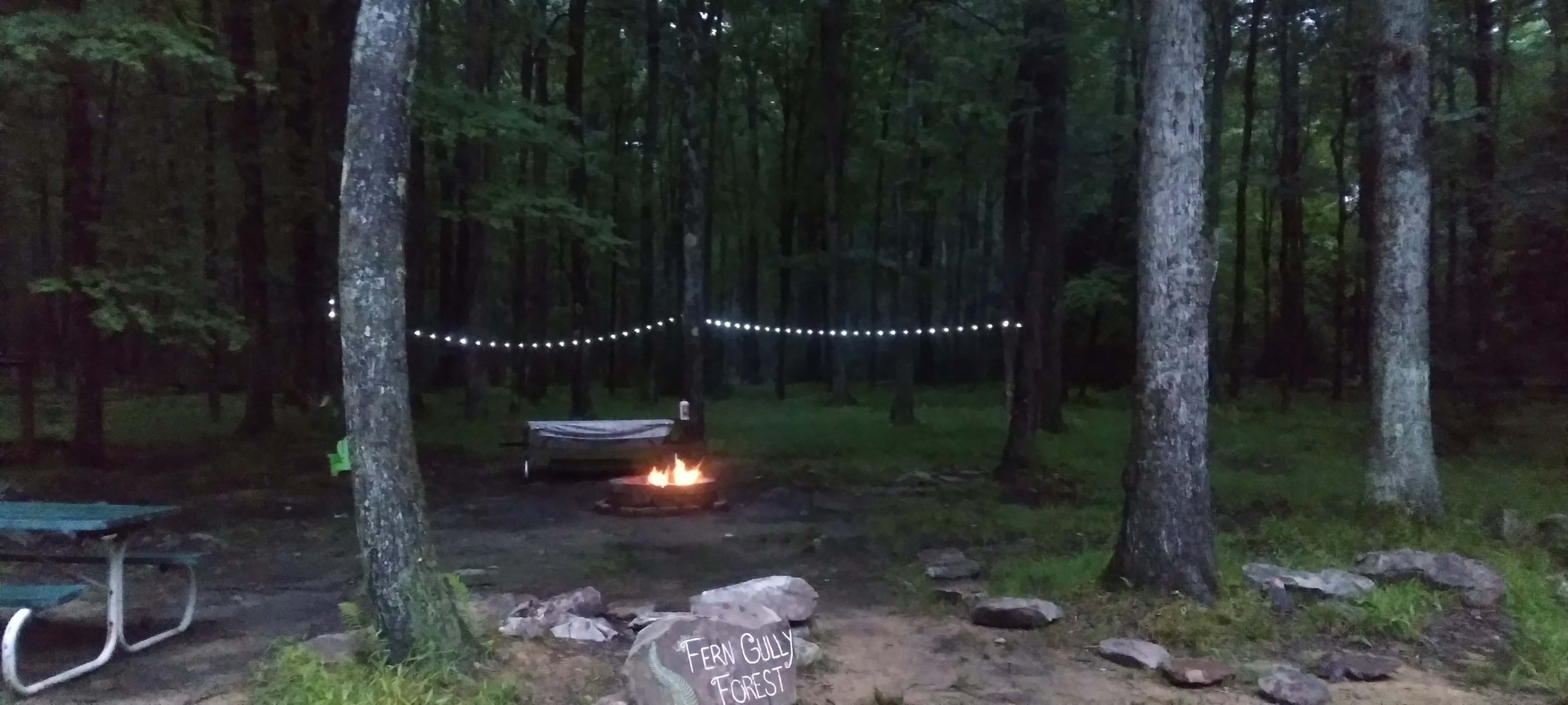 Campsite campfire