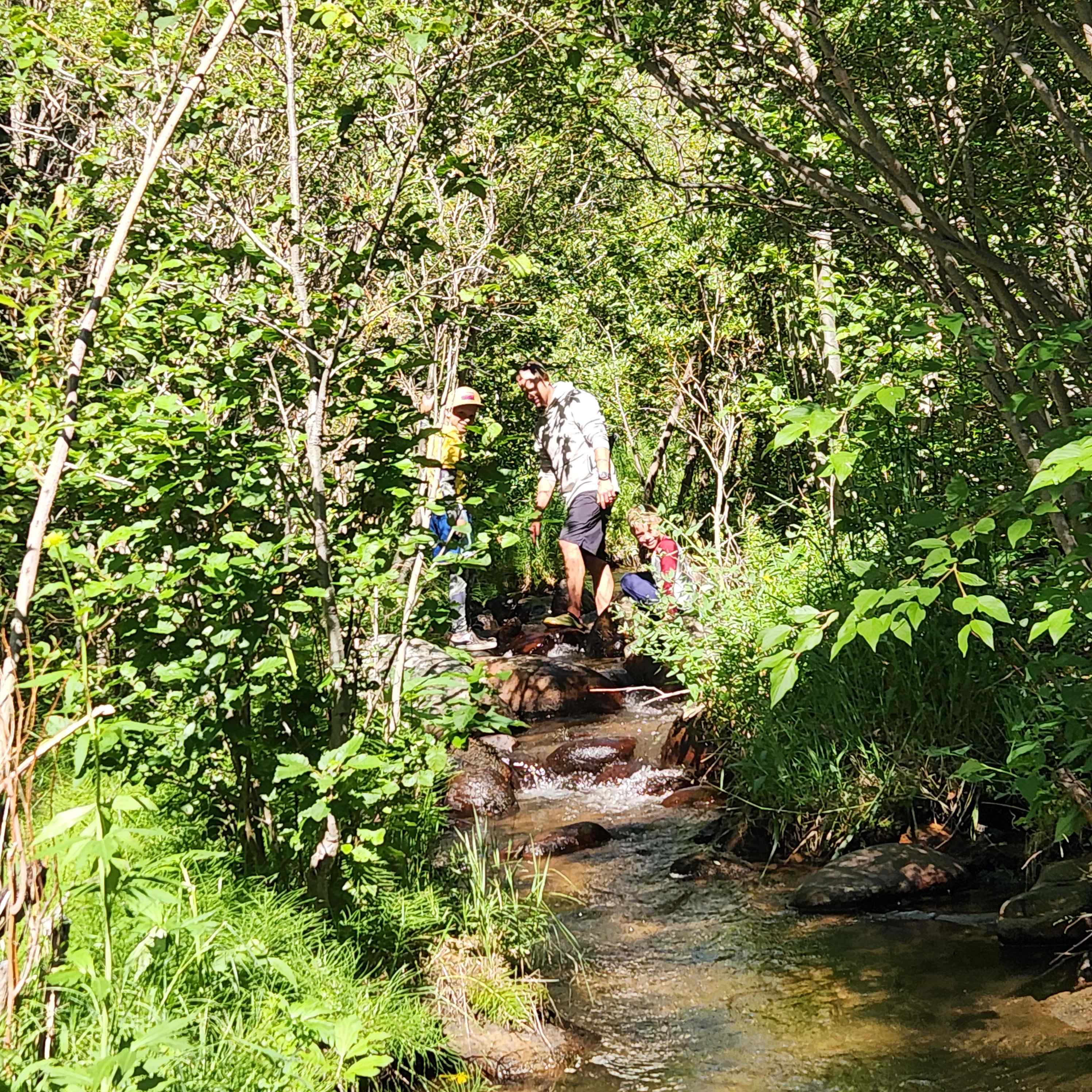 Playing in the stream