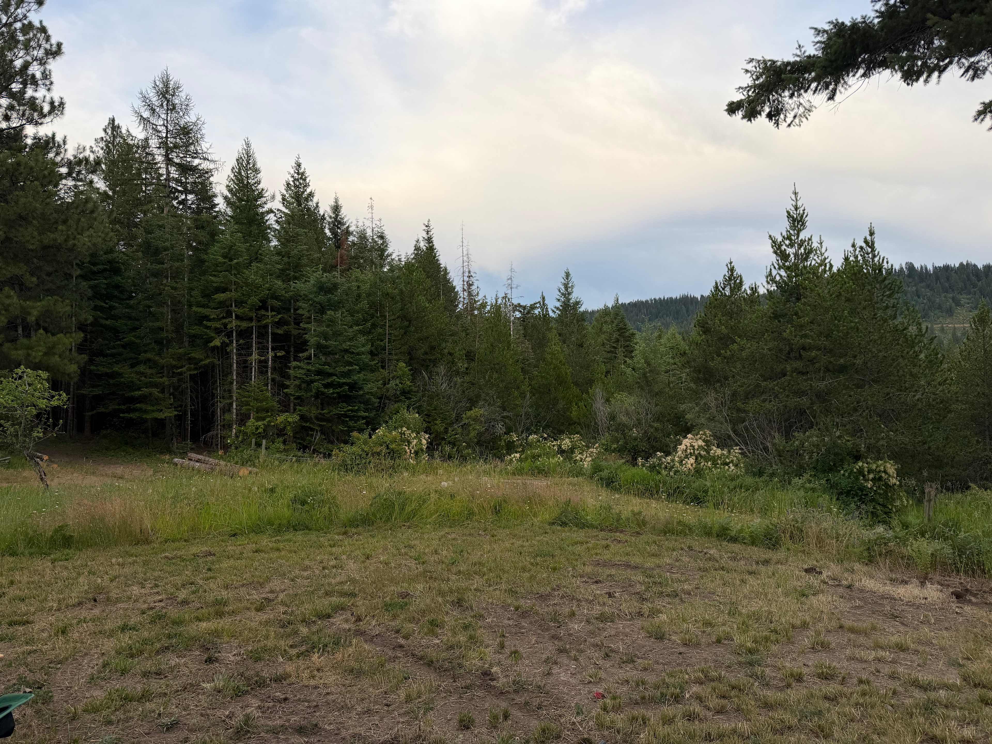 David's Hodge Podge Lodge Camping