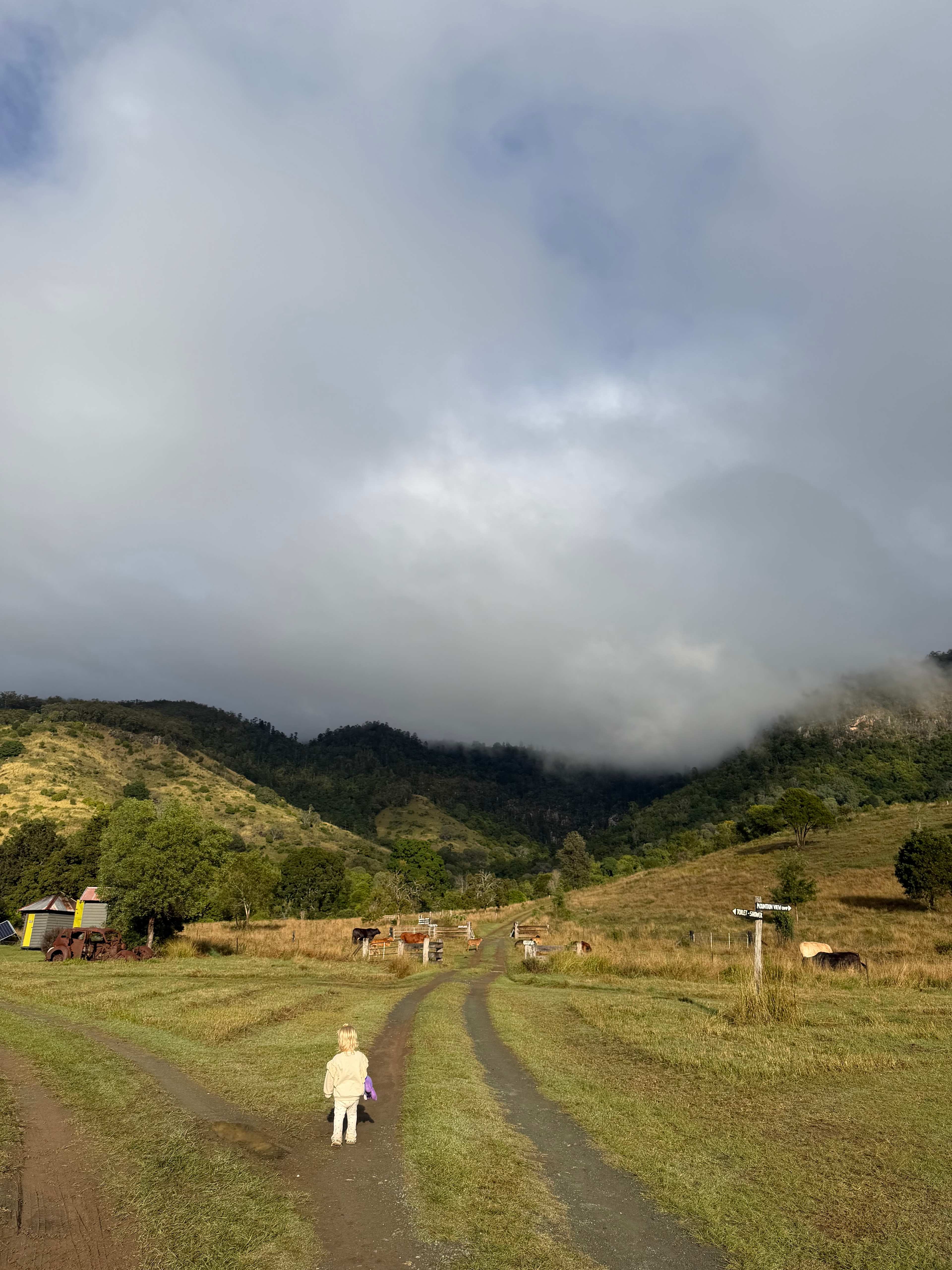 Hopevale Adventure Camping