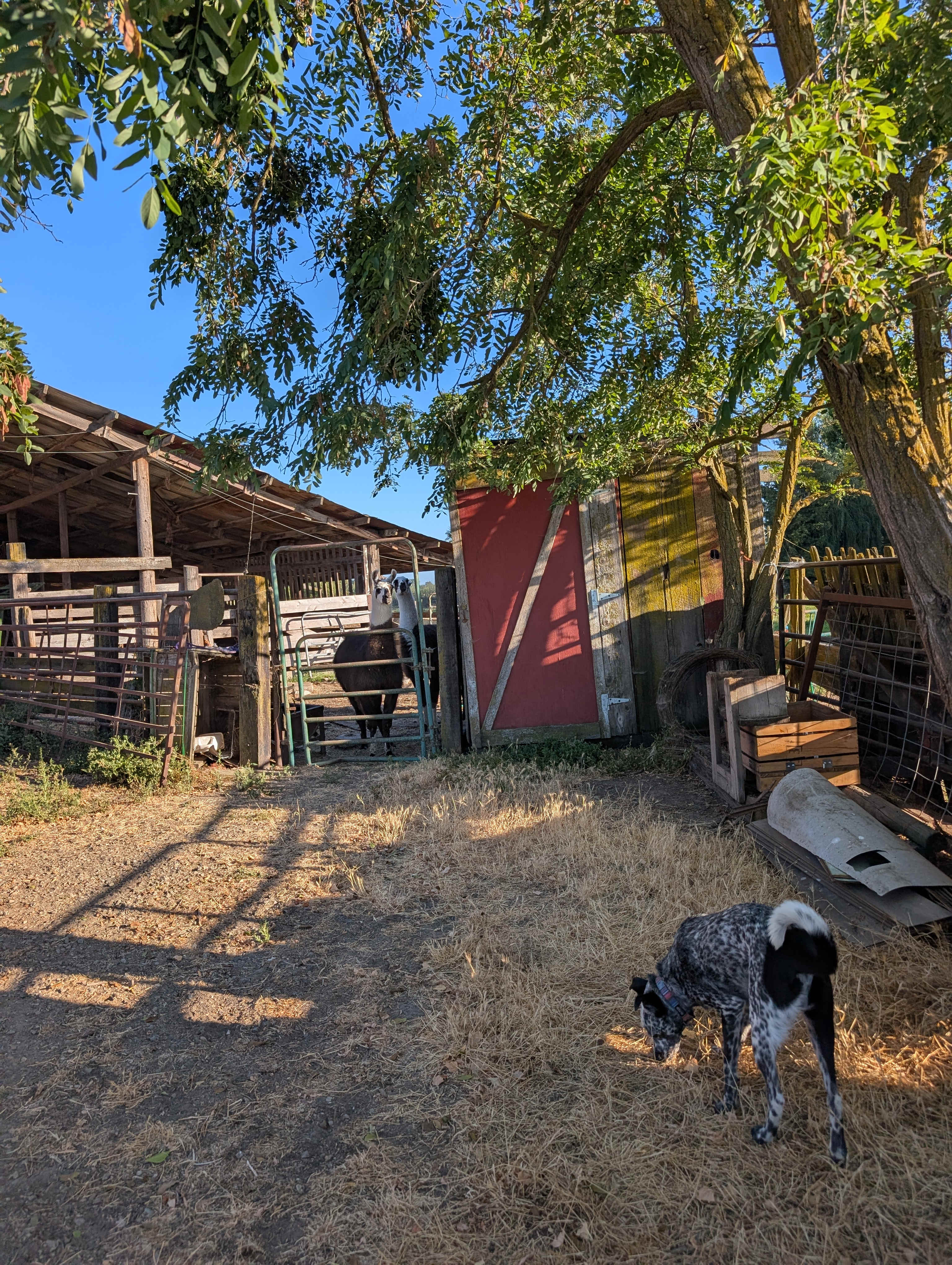 Walden Ranch