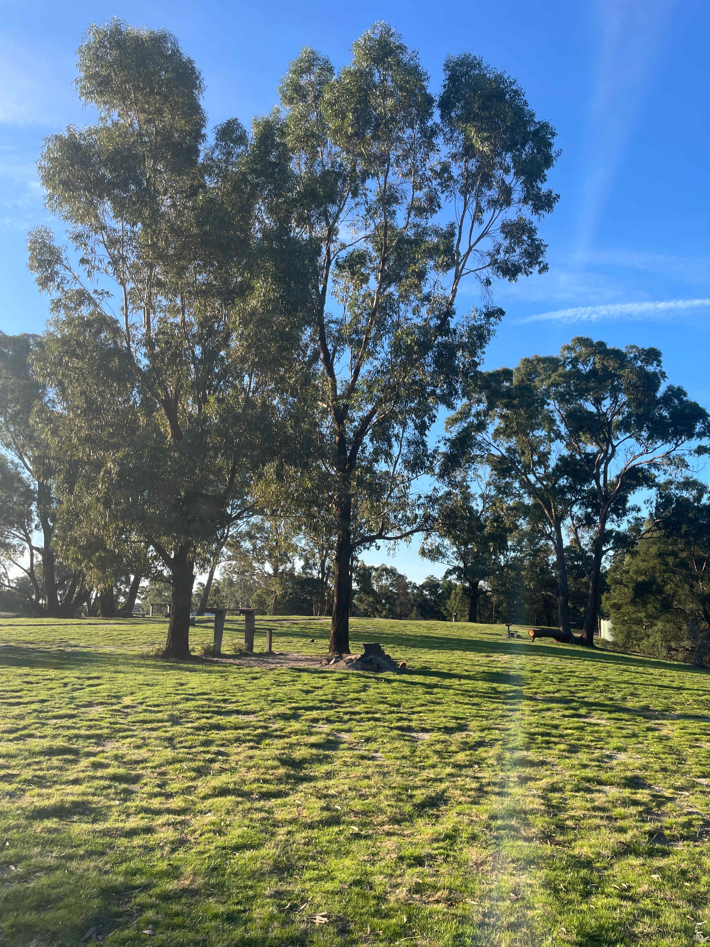 Grampians Old Man Emu Stay