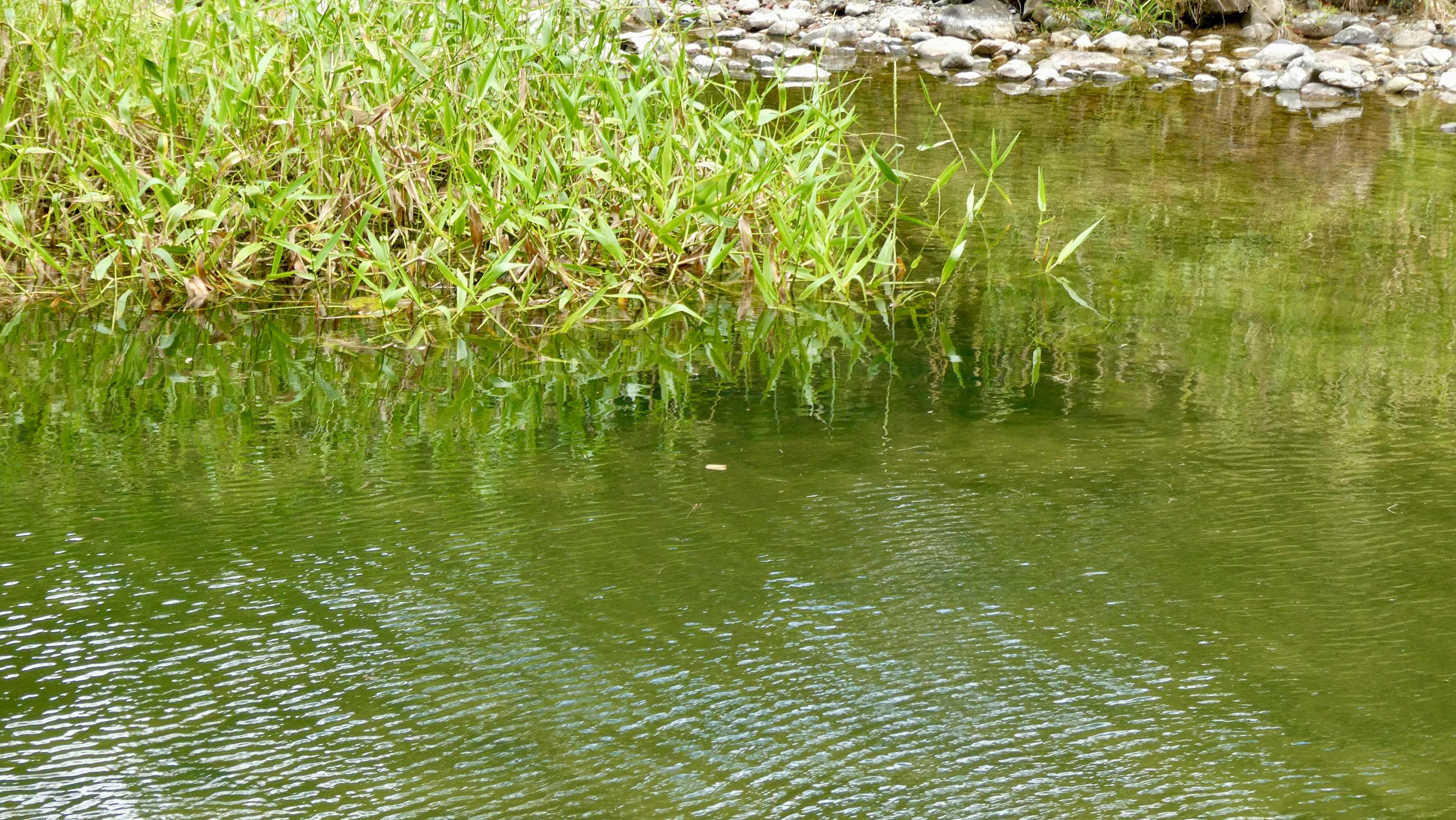 Crystal clear water