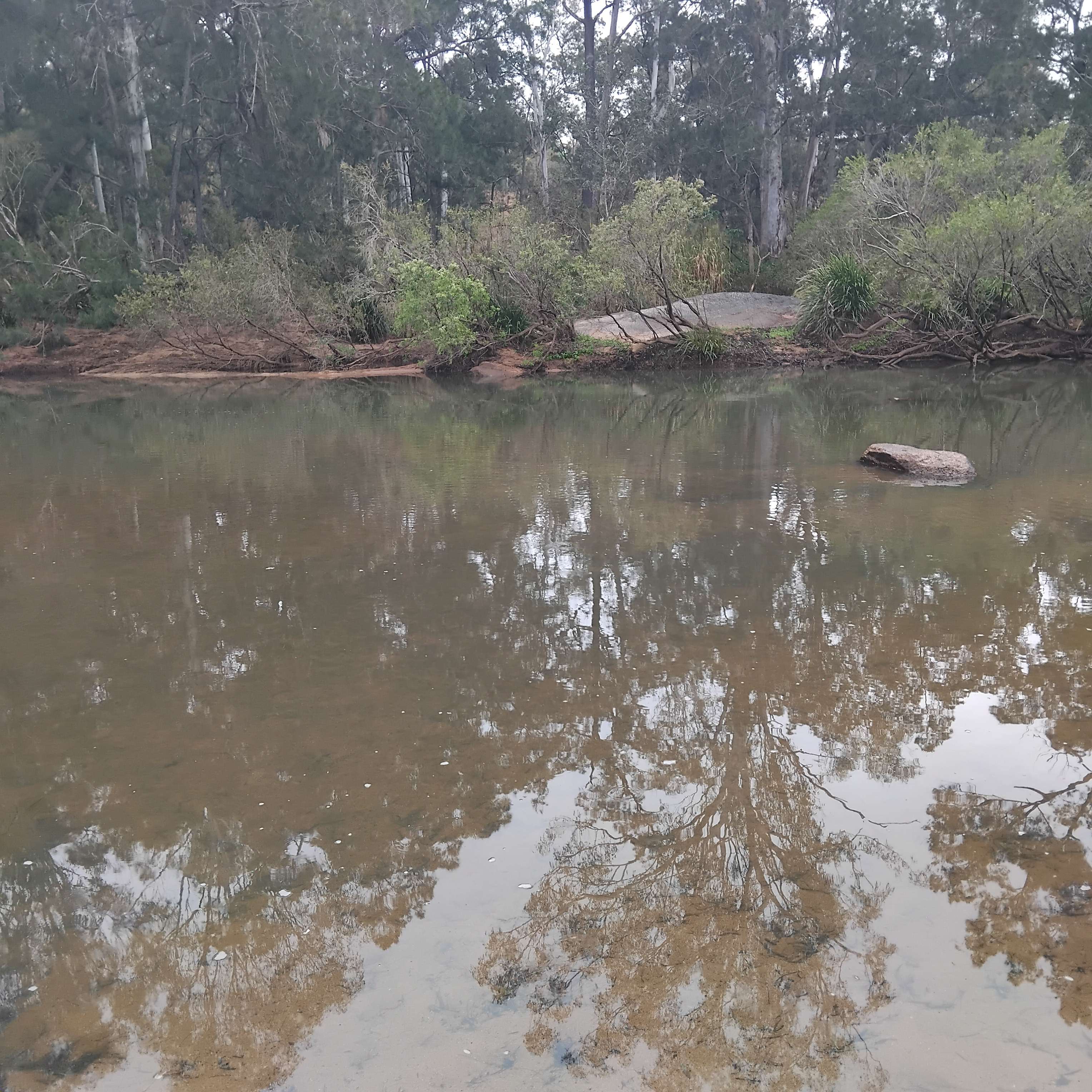 Archerview Farmstay-Wild River Camp