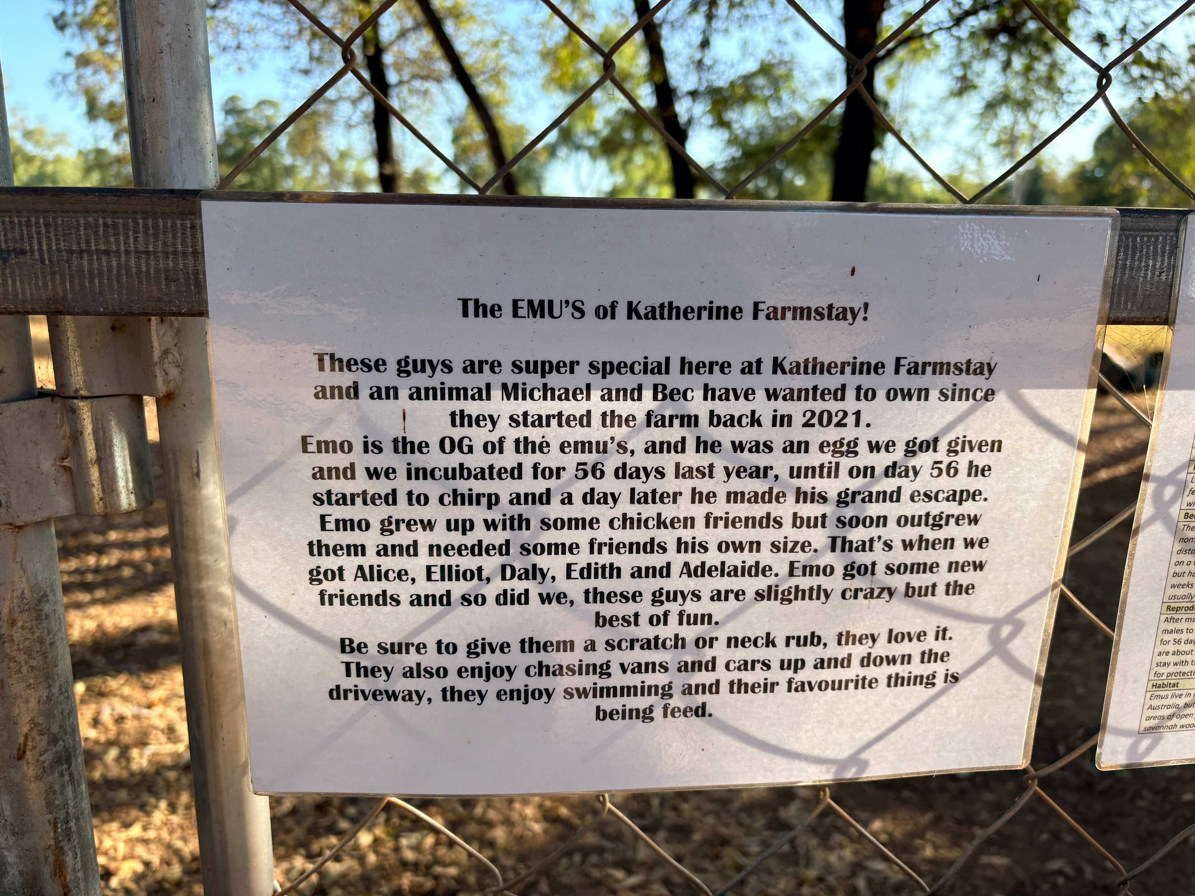 Picture of the site